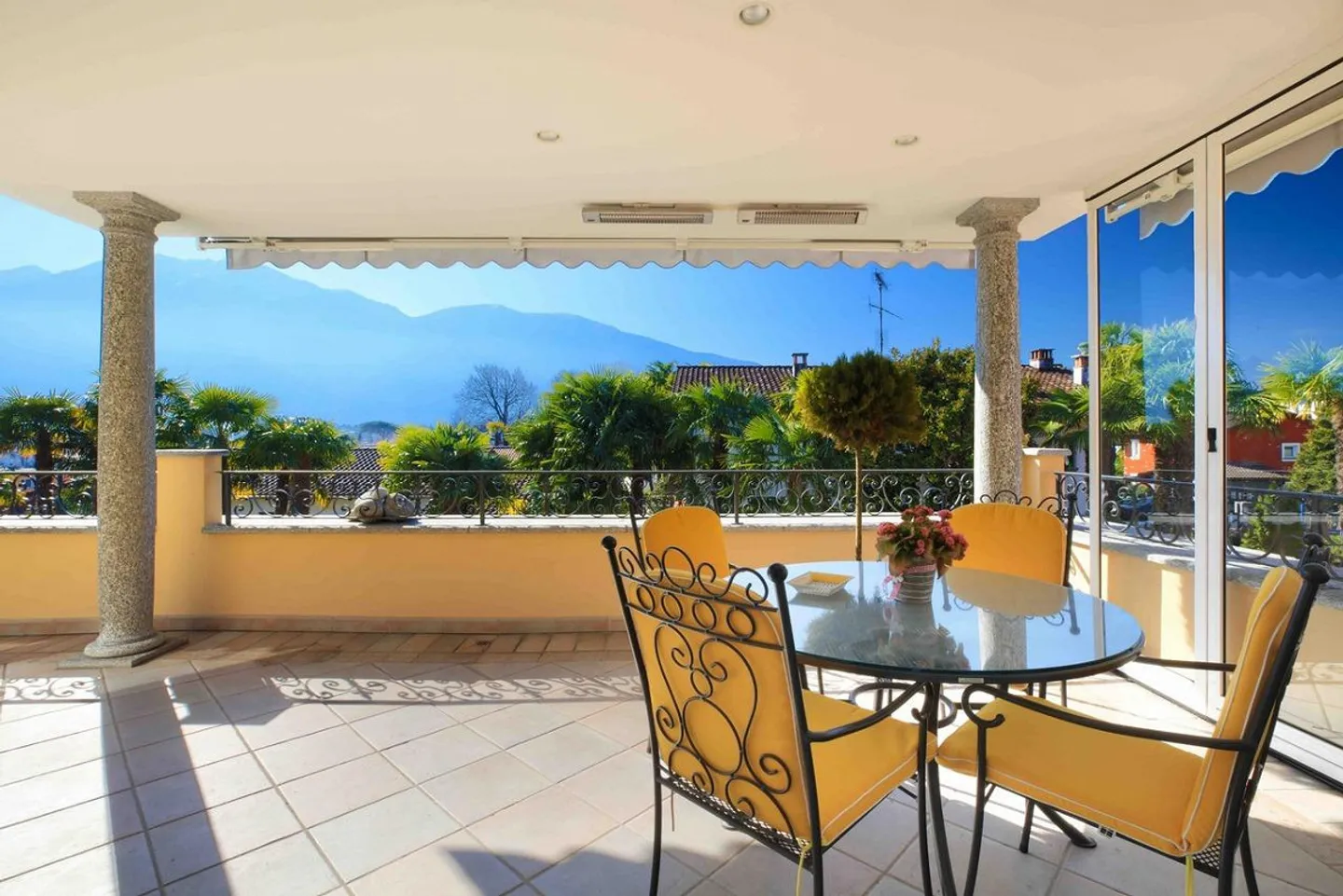 Camelia - Photo 1 of 14