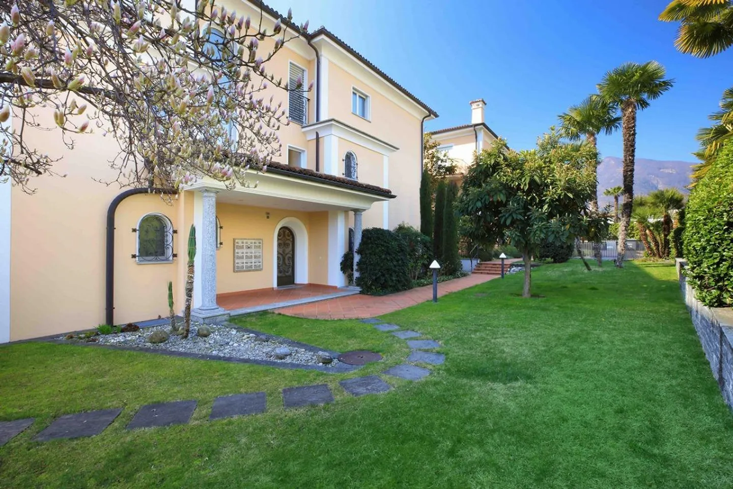 Camelia - Photo 4 of 14