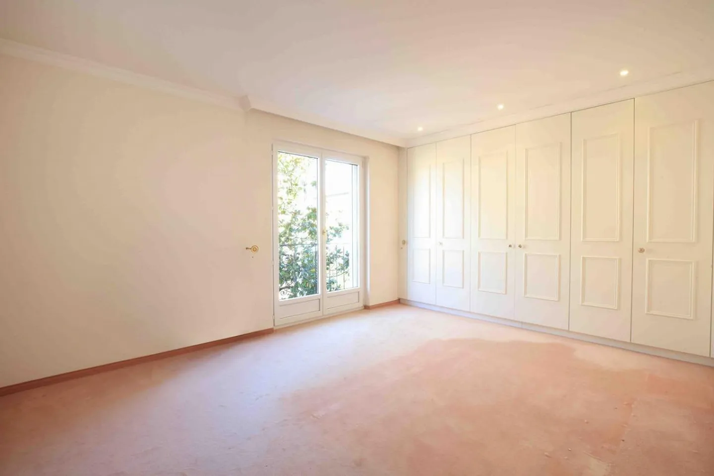 Camelia - Photo 9 of 14