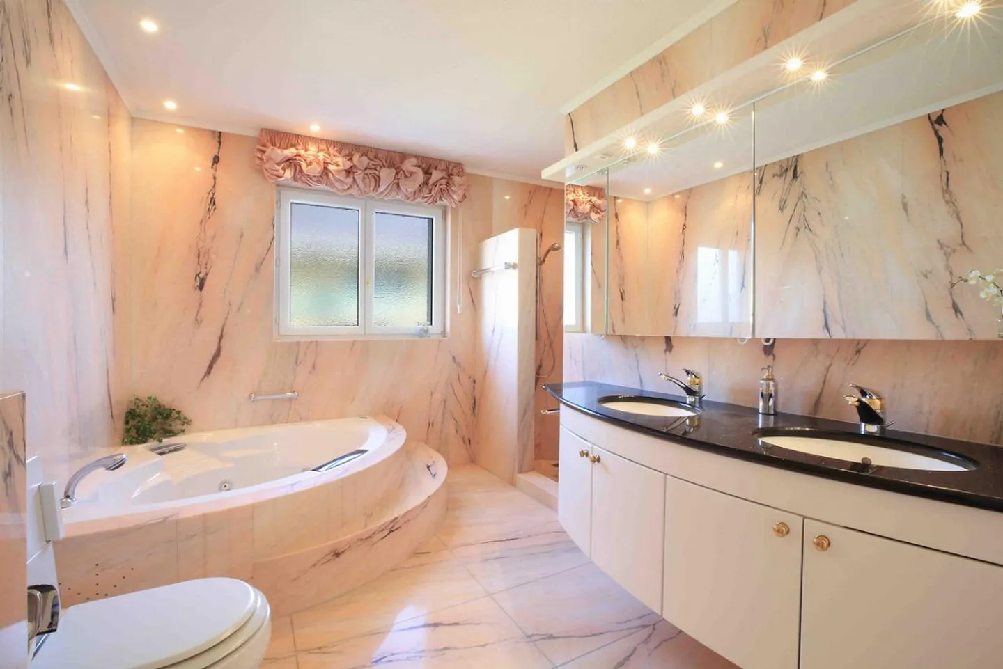 Camelia - Photo 10 of 14