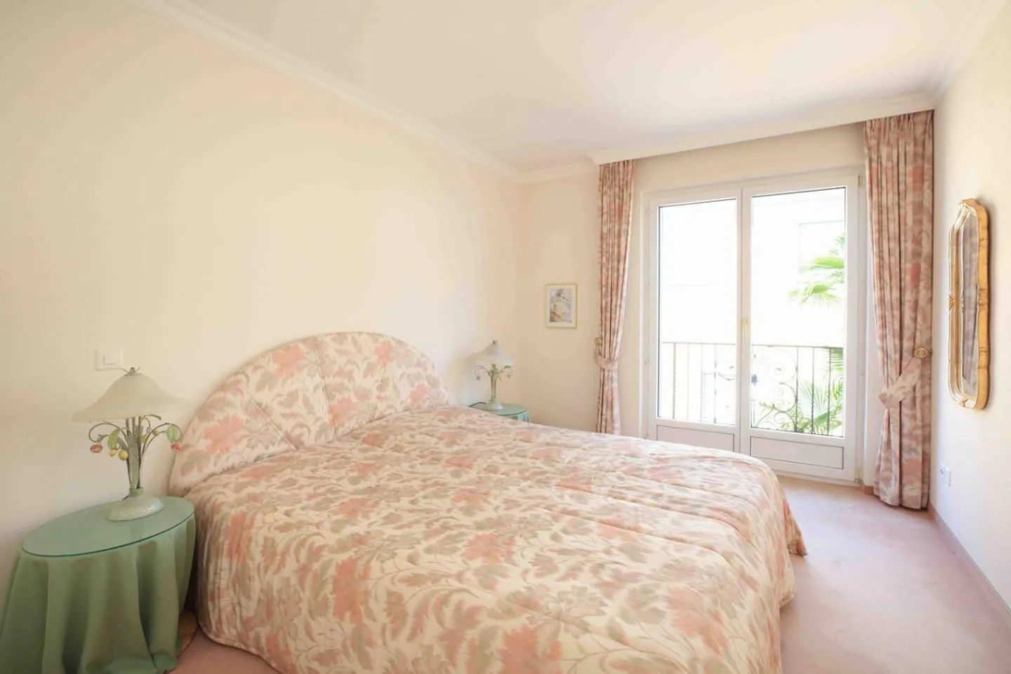 Camelia - Photo 11 of 14