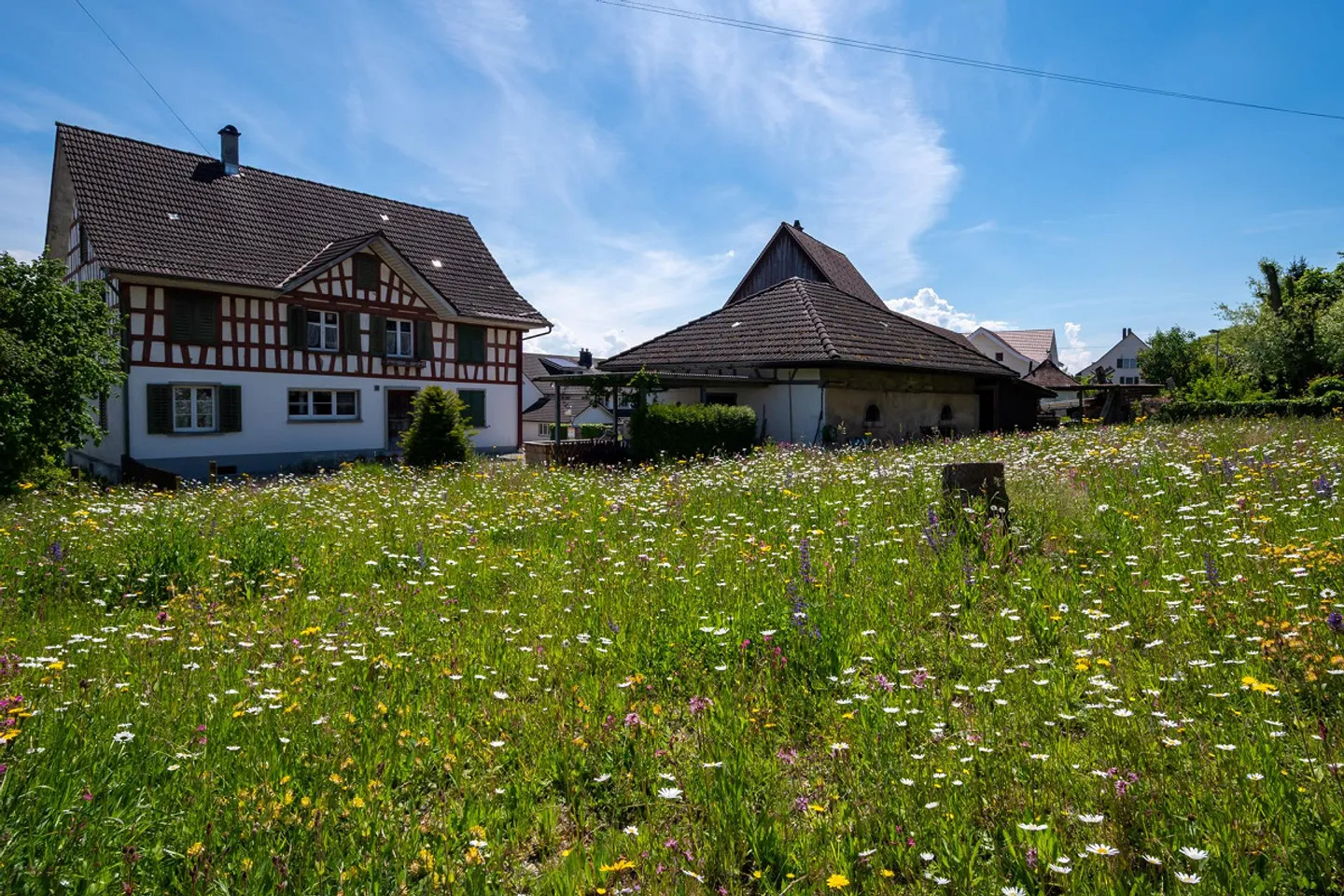 Charmantes Riegelhaus mit Garten - Foto 9 von 26