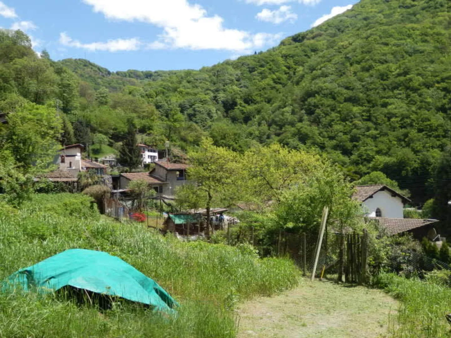 Area di protezione della chioma R3, immersa nella natura - Foto 1 di 9