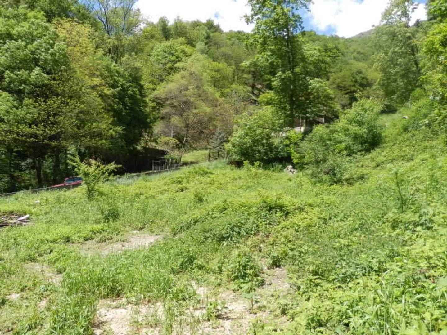 Area di protezione della chioma R3, immersa nella natura - Foto 3 di 9