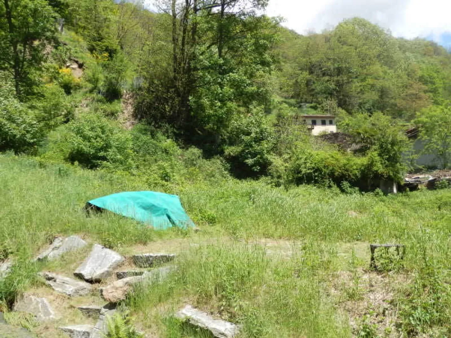 Area di protezione della chioma R3, immersa nella natura - Foto 4 di 9