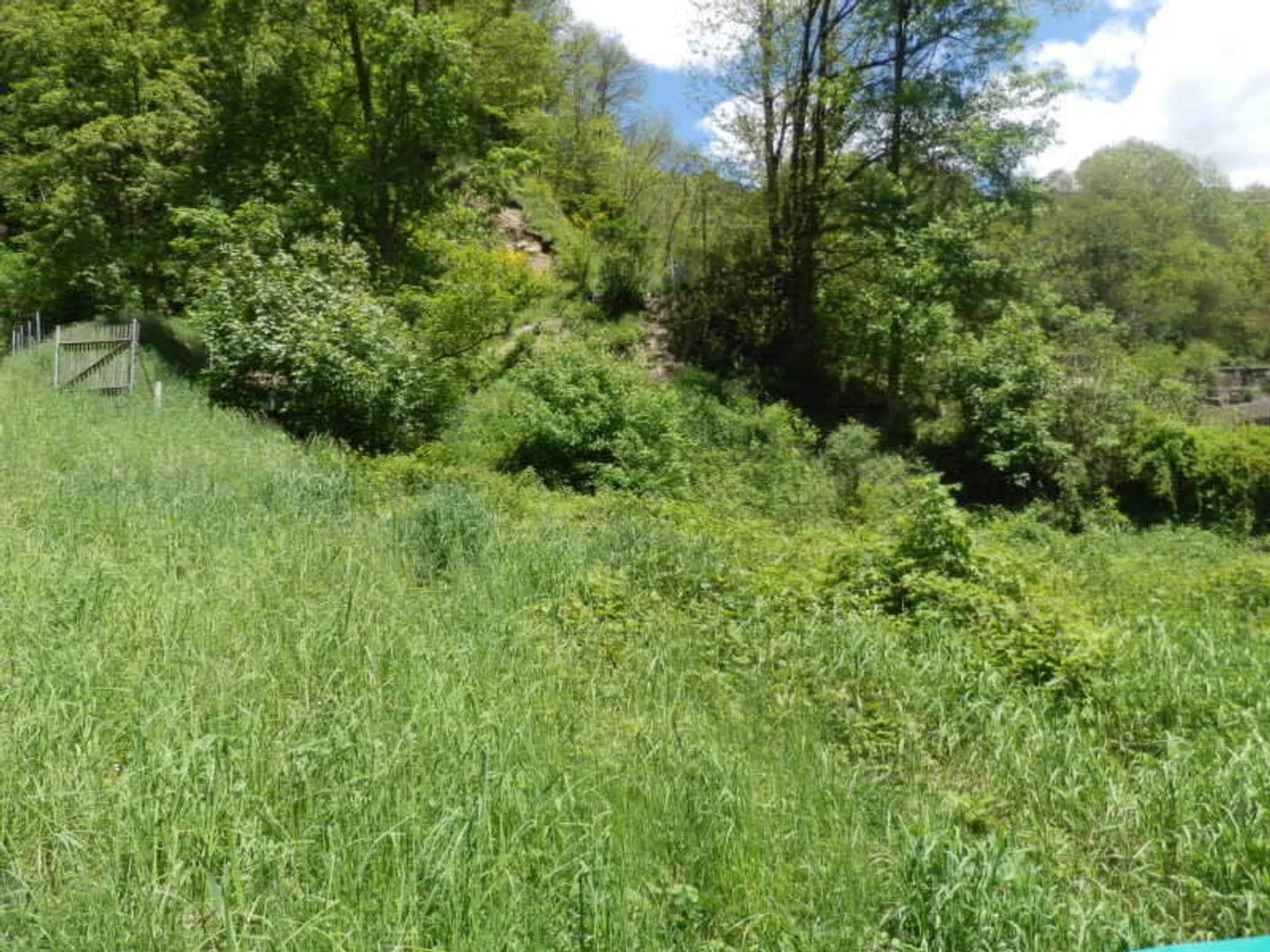 Area di protezione della chioma R3, immersa nella natura - Foto 5 di 9