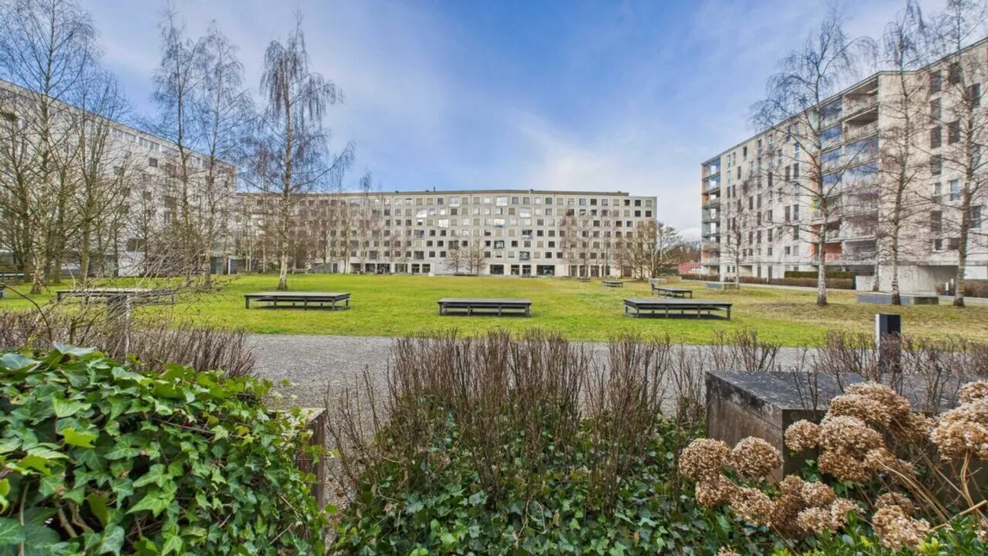 Appartamento al piano terra con 2,5 stanze a Zurigo-Affoltern - Foto 9 di 10