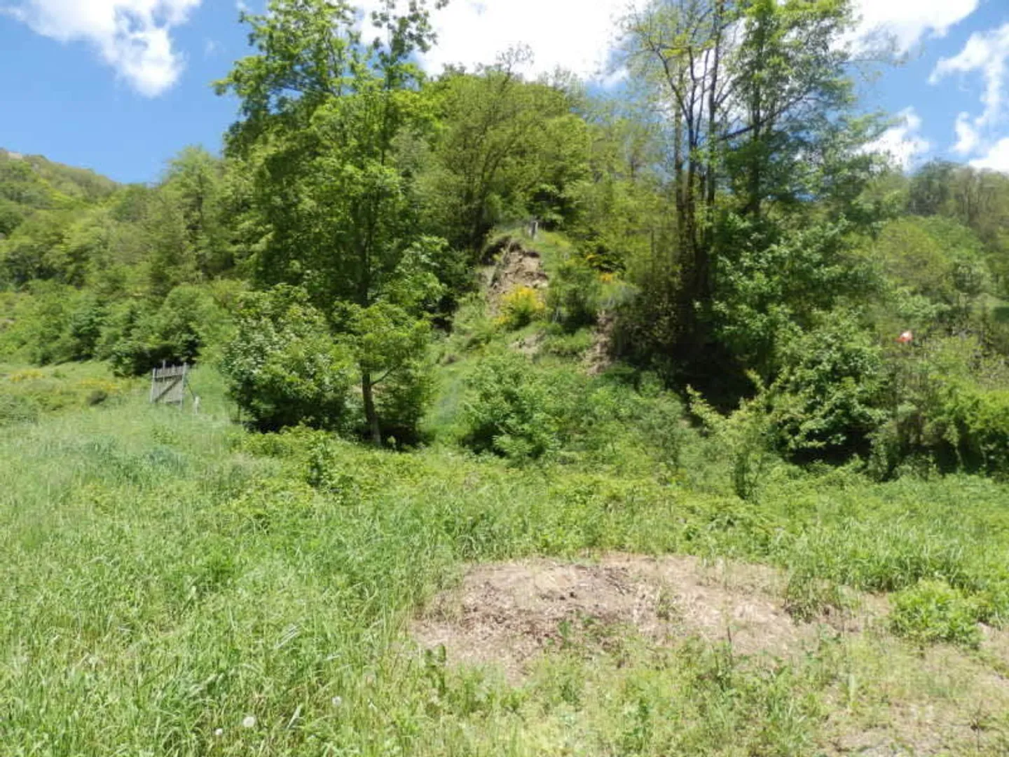 Area di protezione della chioma R3, immersa nella natura - Foto 2 di 9