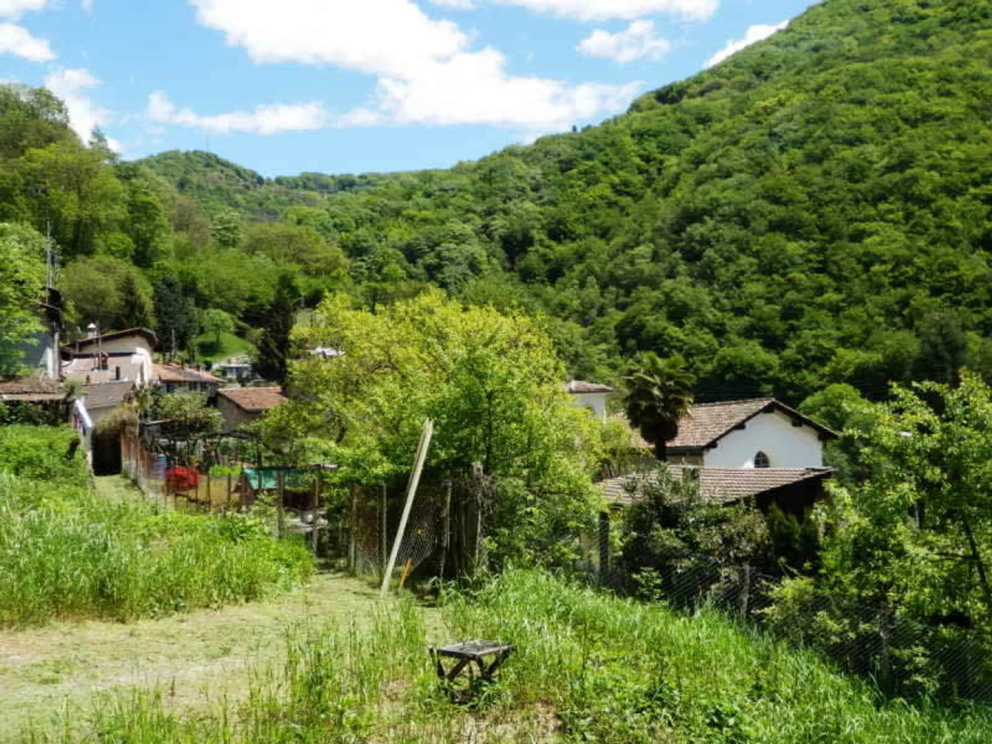 Area di protezione della chioma R3, immersa nella natura - Foto 6 di 9