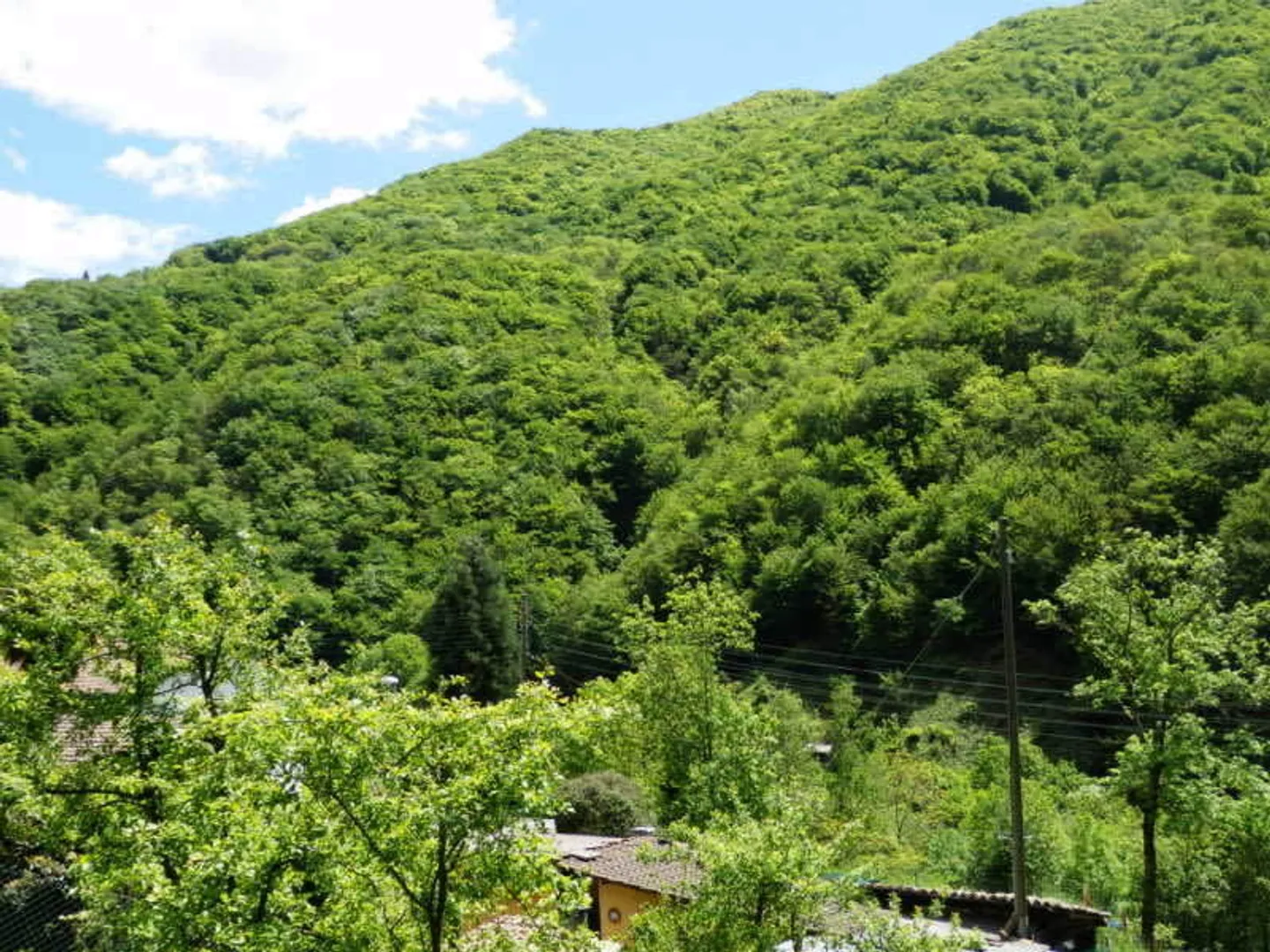 Area di protezione della chioma R3, immersa nella natura - Foto 7 di 9