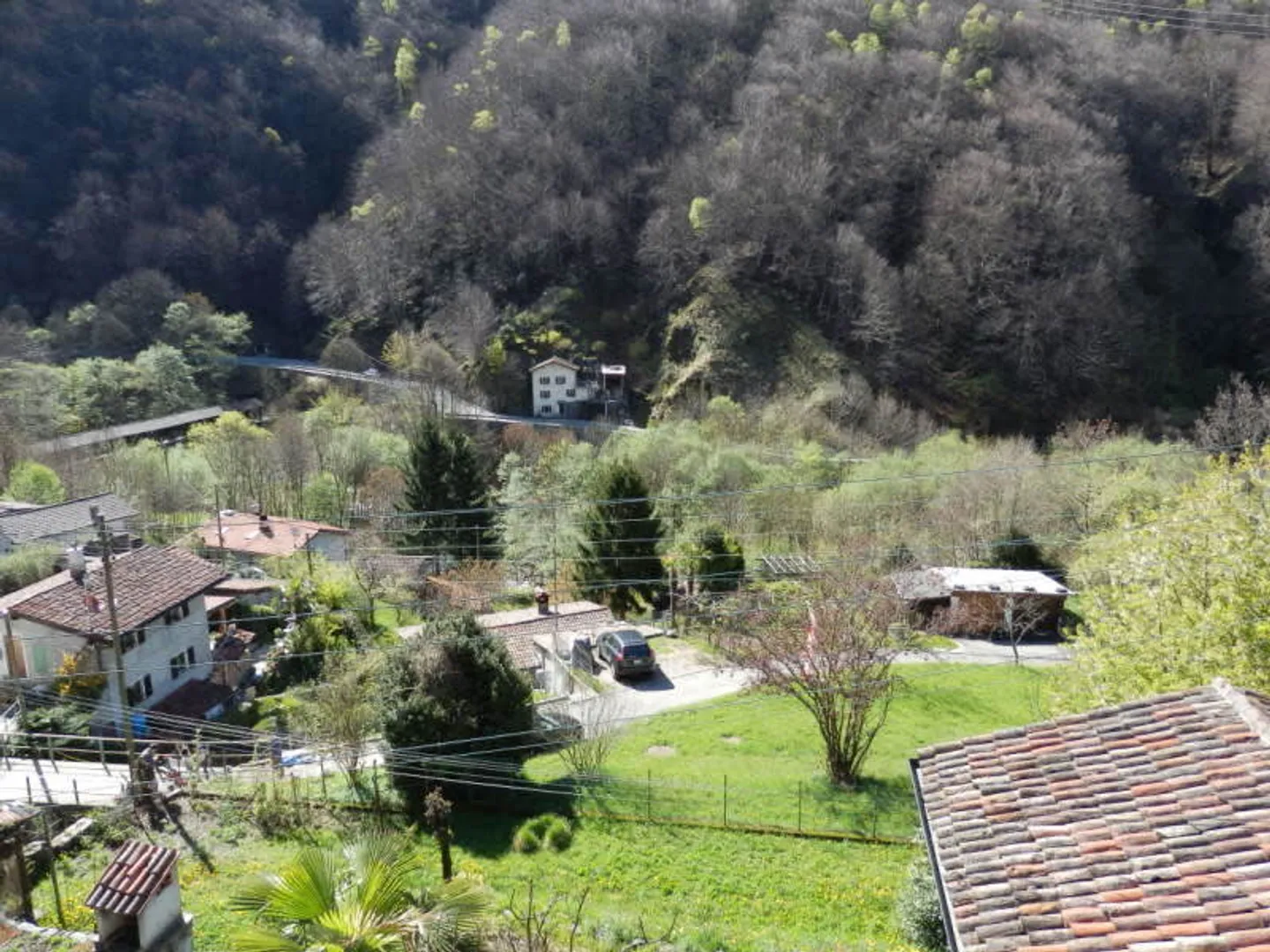 Area di protezione della chioma R3, immersa nella natura - Foto 8 di 9