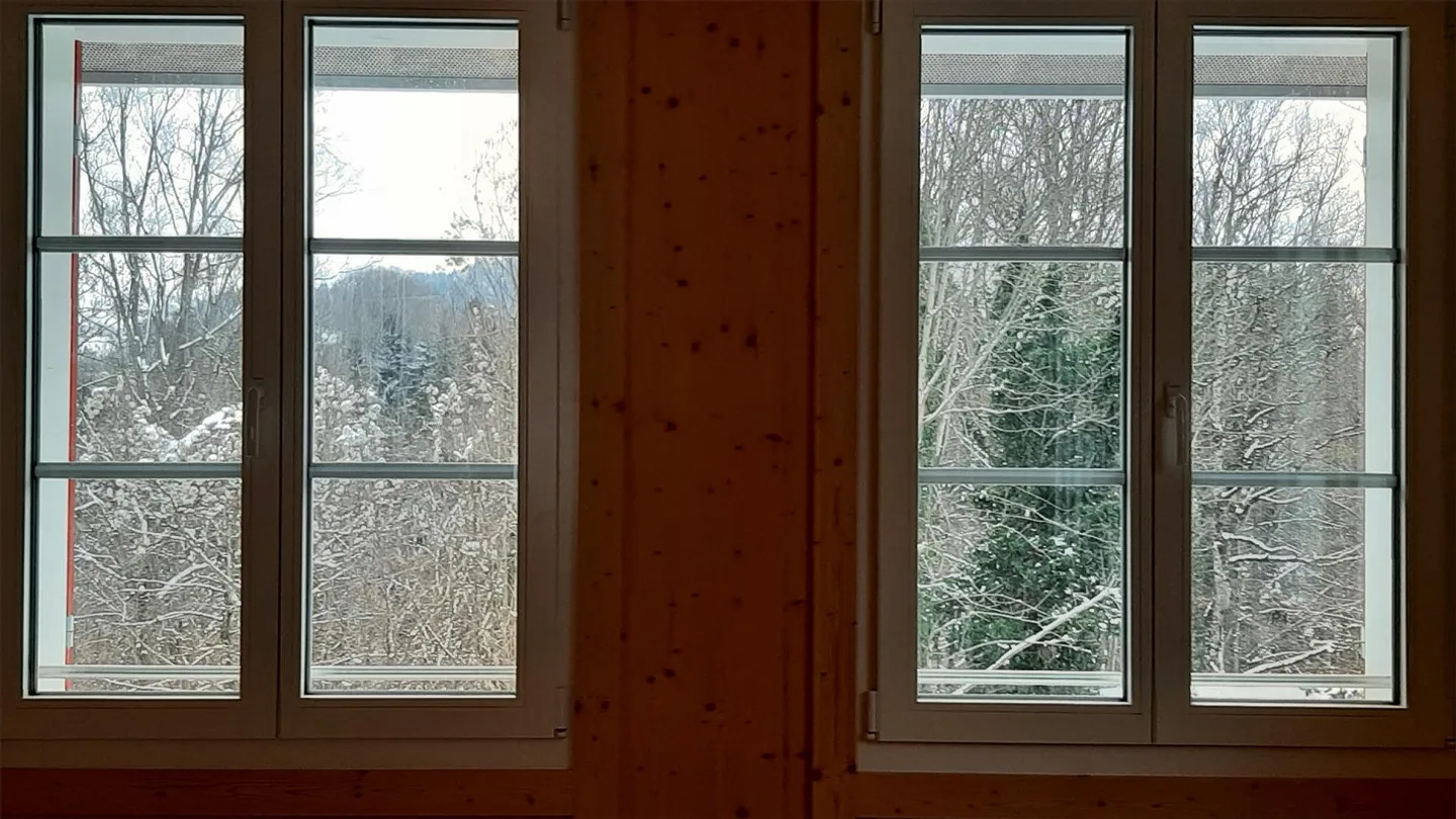 Primo noleggio - Foto 10 di 12