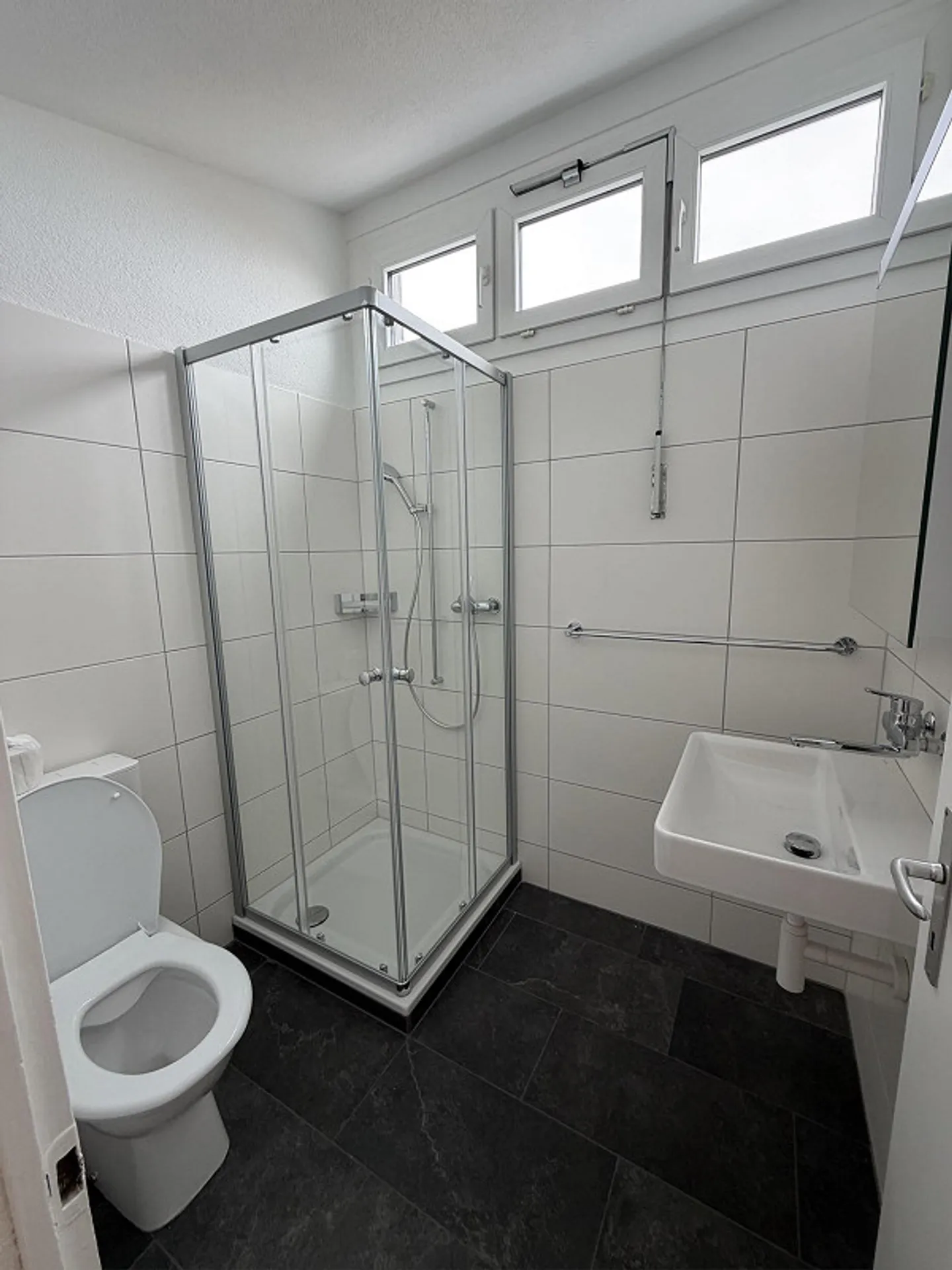 Freshly renovated 1-room apartment with roof balcony - Photo 4 of 7