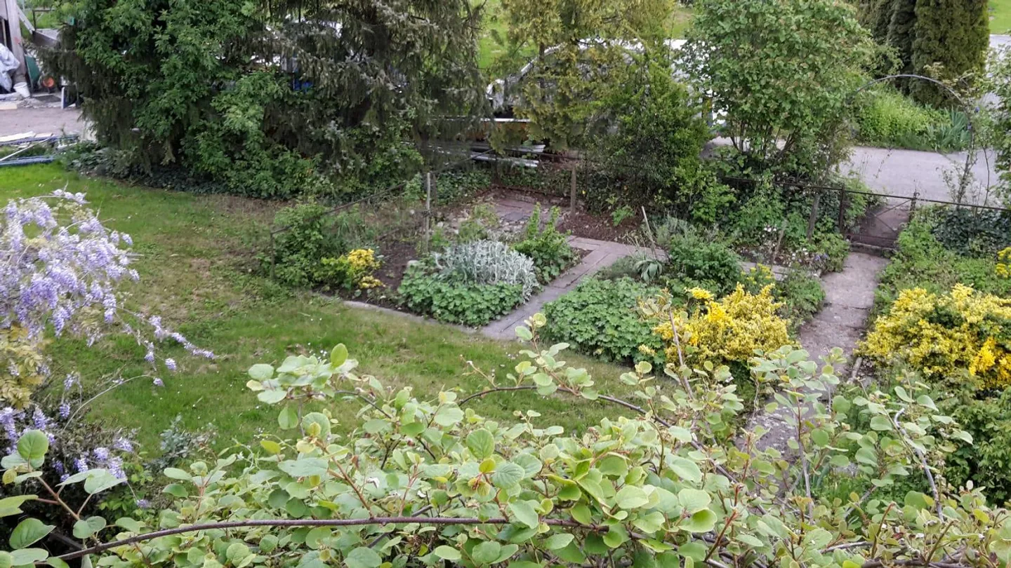 2.5 Room Apartment with Garden - Photo 2 of 19