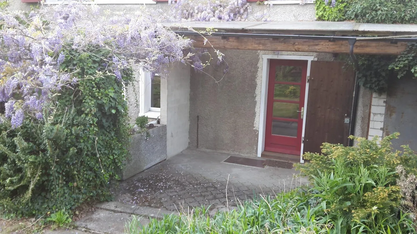 2.5 Room Apartment with Garden - Photo 16 of 19