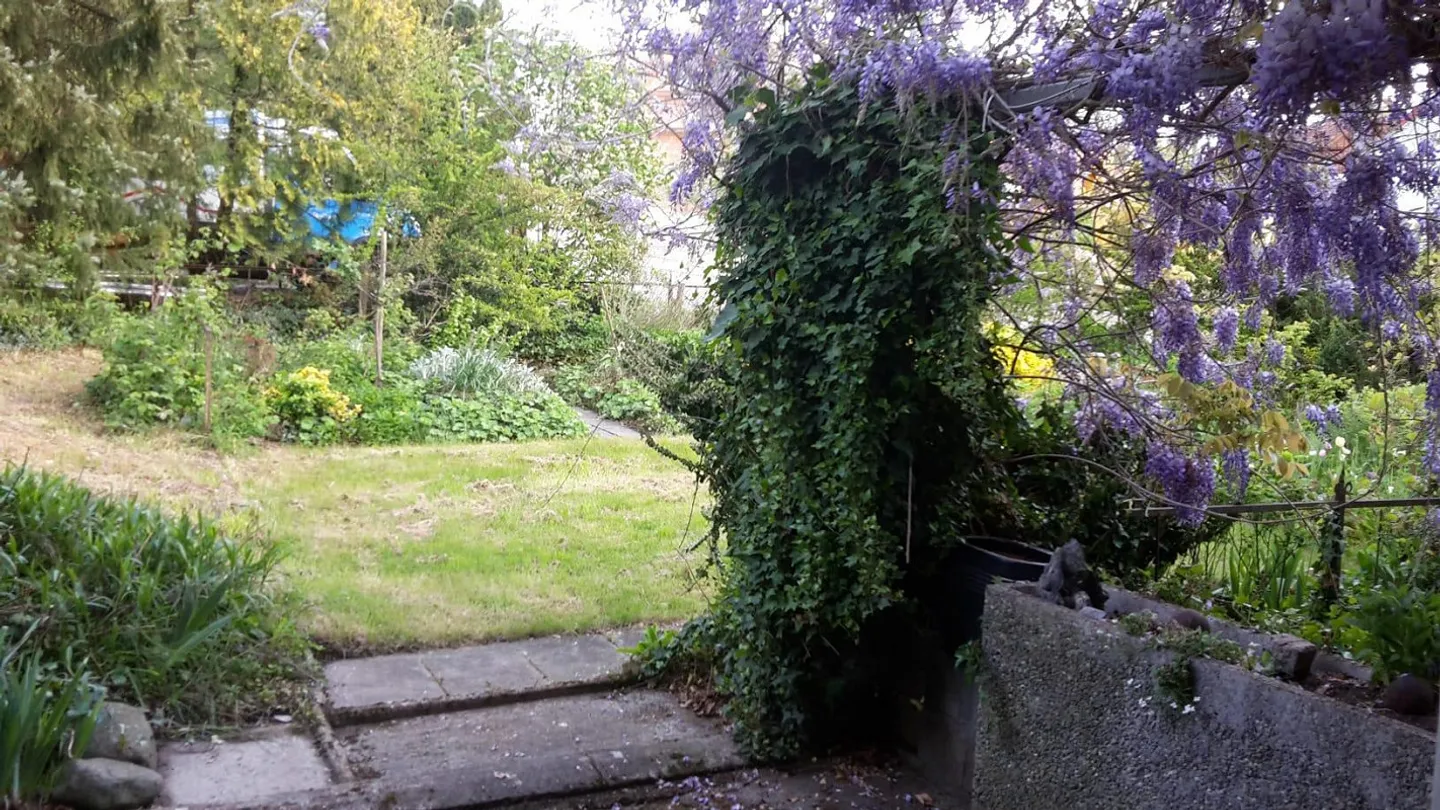 2.5 Room Apartment with Garden - Photo 17 of 19