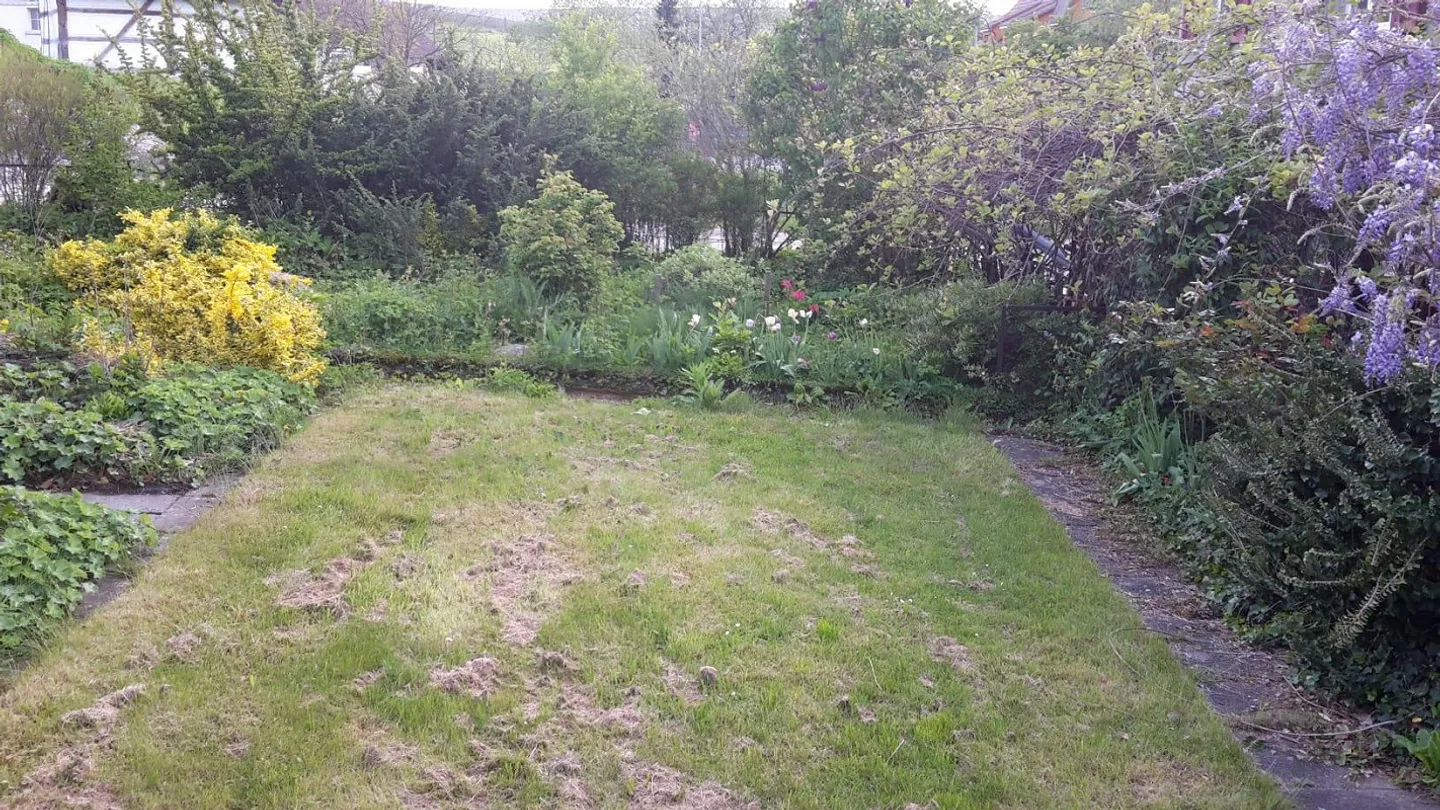 2.5 Room Apartment with Garden - Photo 18 of 19