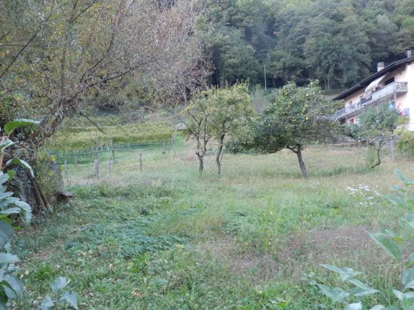 Terreno edificabile, pianeggiante R2 - Foto 2 di 4