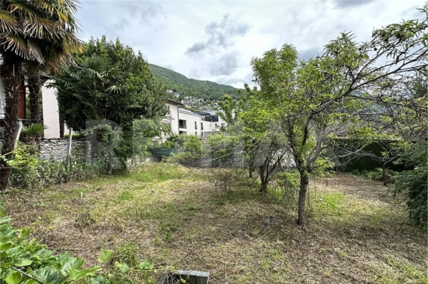 Apartment - Photo 4 of 13