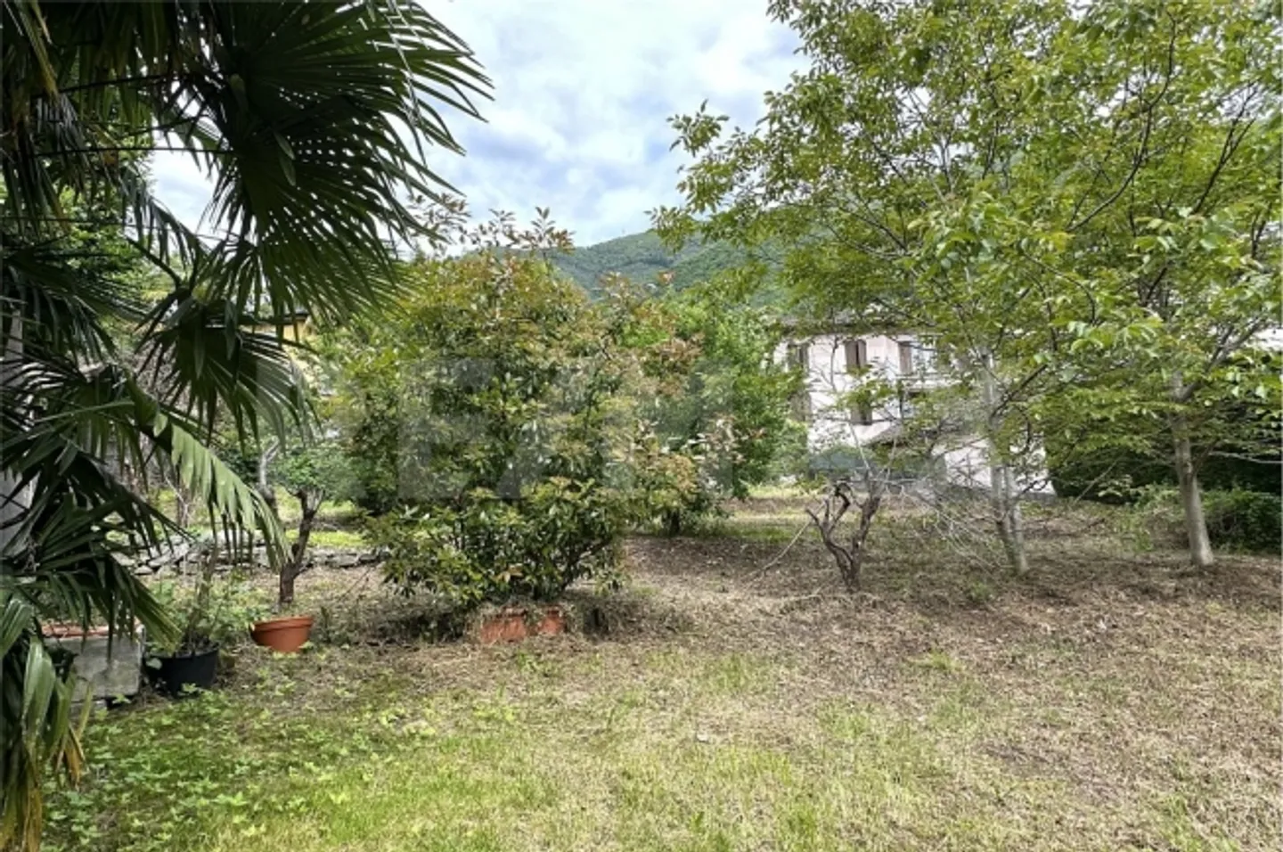 Apartment - Photo 7 of 13