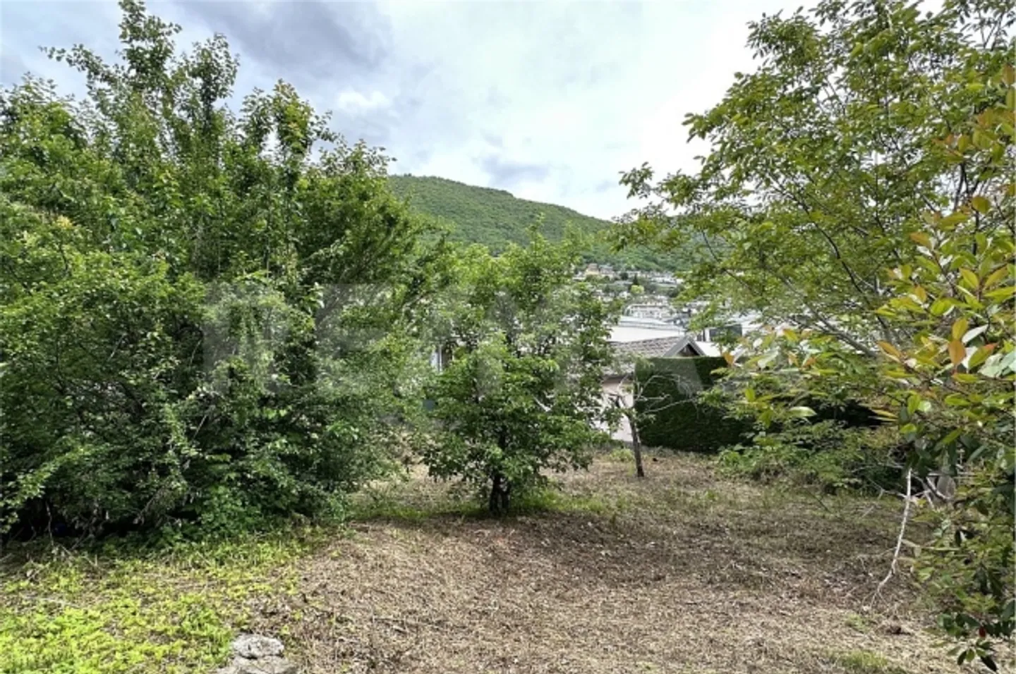 Apartment - Photo 10 of 13