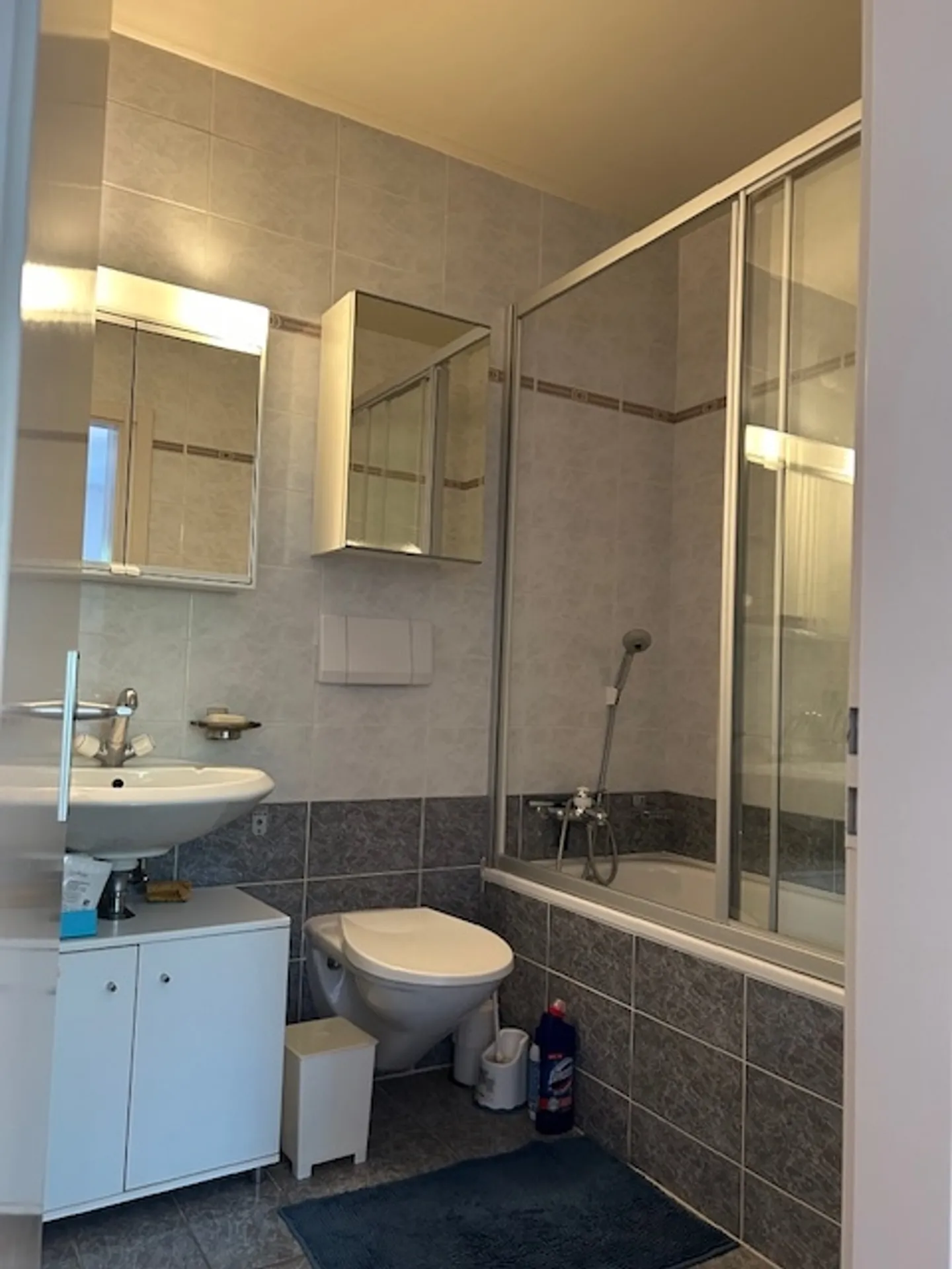 Magnificent Duplex with 4.5 Rooms and View in Gland - Photo 12 of 12