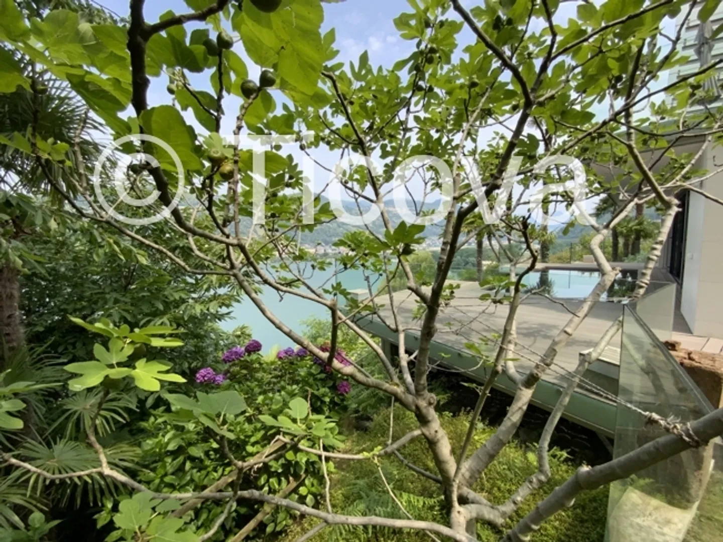 Villa de Luxe à Collina - Photo 10 sur 10