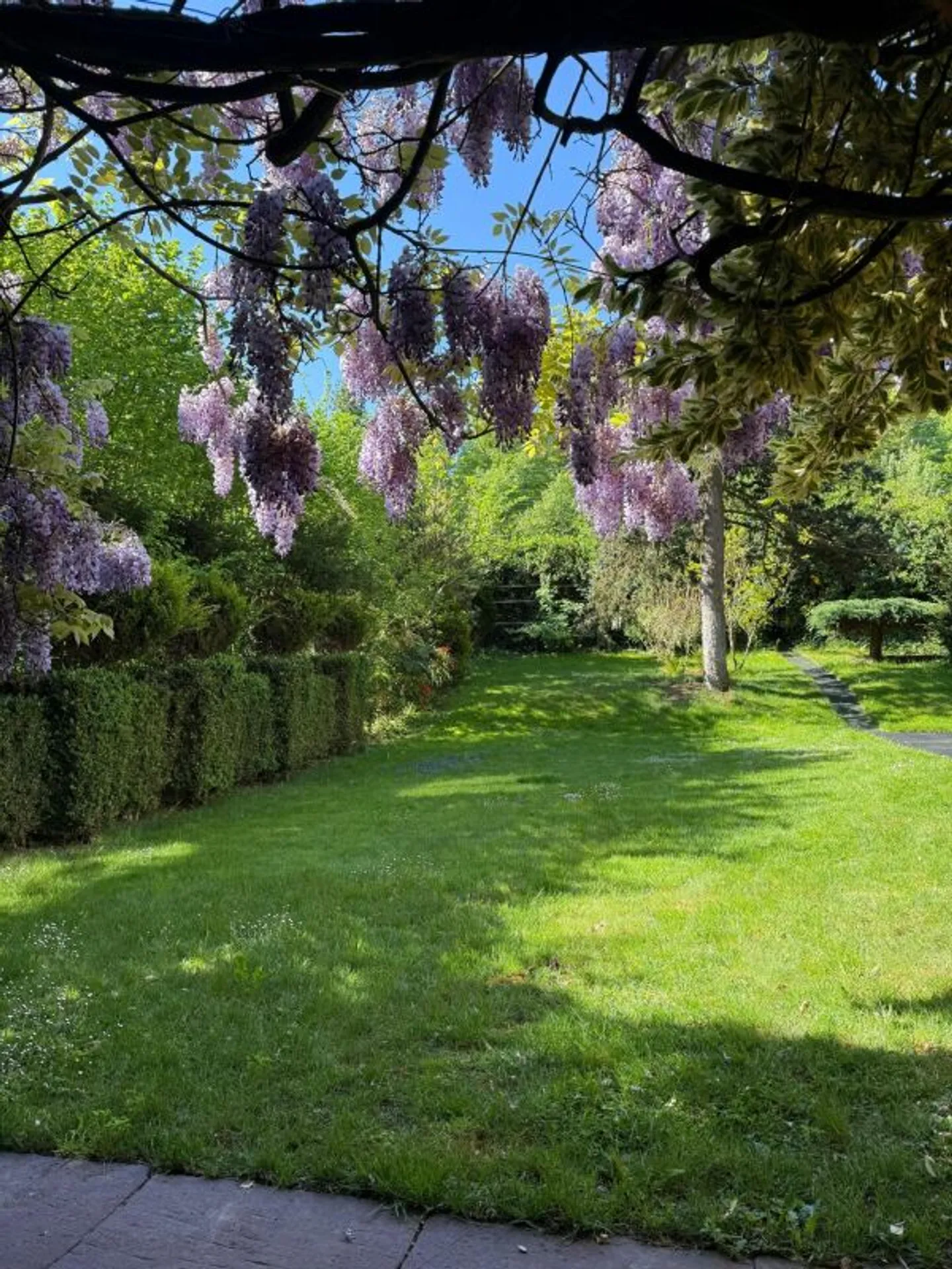 Casa singola in affitto - Foto 25 di 30