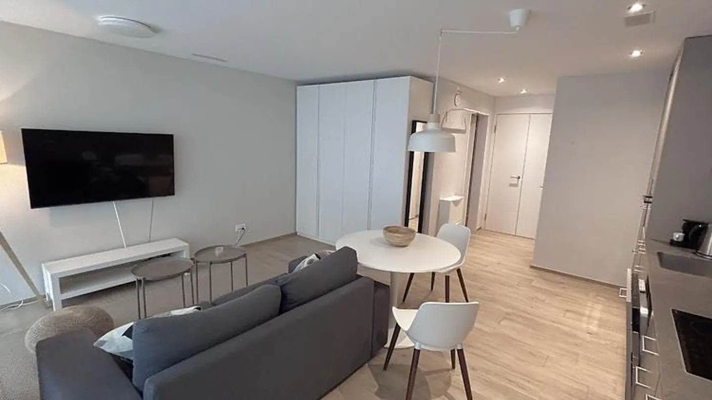APPARTAMENTO 1½ STANZA A NEUHAUSEN AM RHEINFALL (SH), ARREDATO, TEMPORANEO - Foto 1 di 10