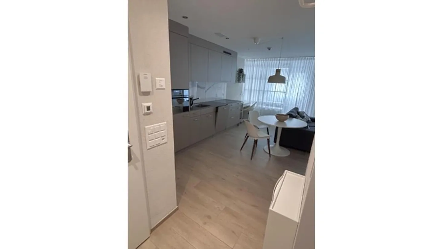 APPARTAMENTO 1½ STANZA A NEUHAUSEN AM RHEINFALL (SH), ARREDATO, TEMPORANEO - Foto 4 di 10