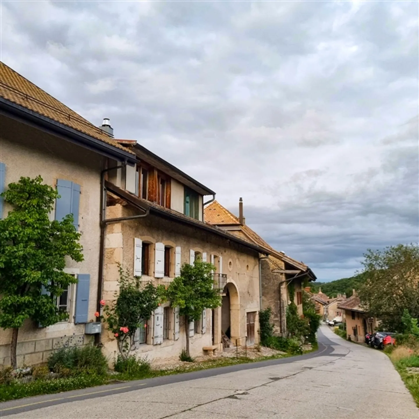 Charmante Erdgeschosswohnung - Foto 8 von 13