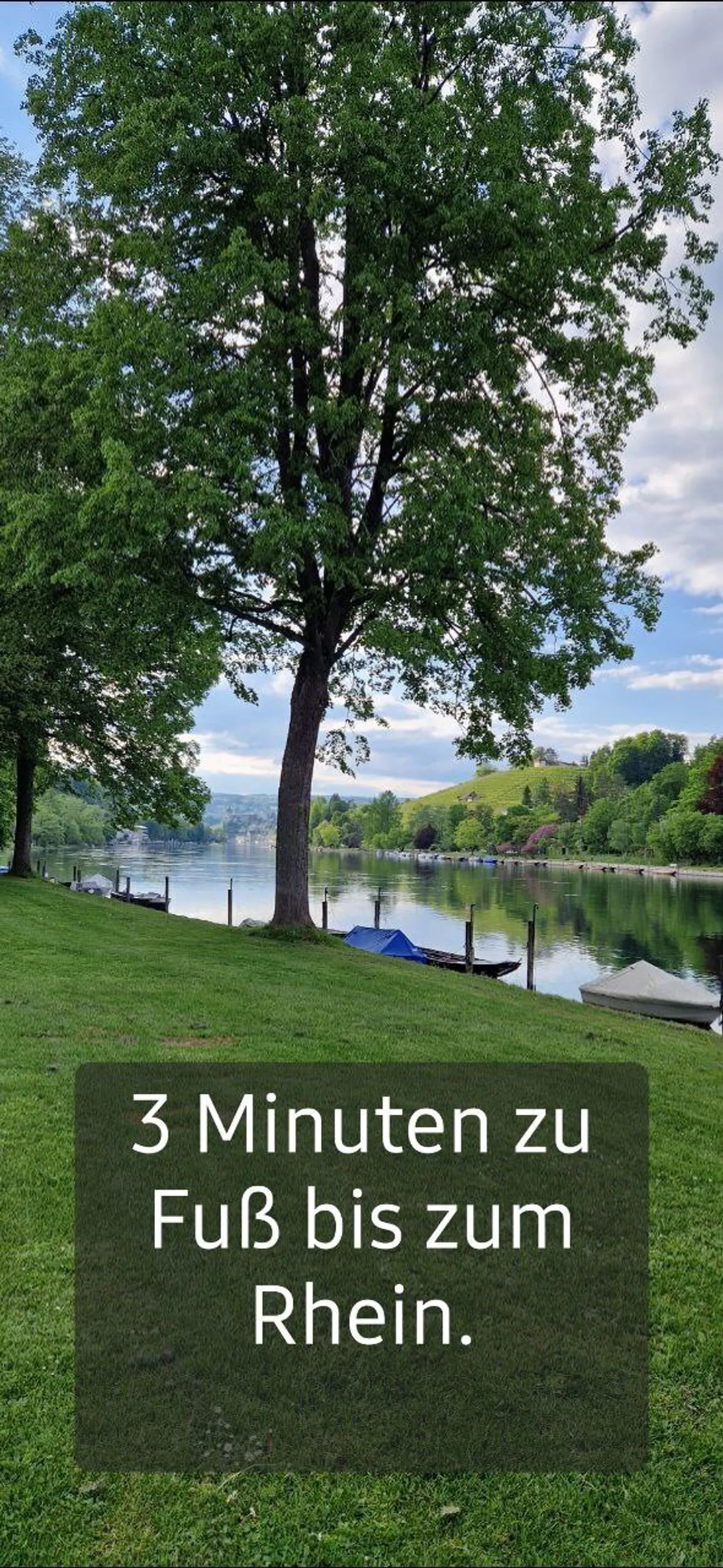 APPARTEMENT 2½ PIÈCES À LANGWIESEN (ZH), MEUBLÉ, TEMPORAIRE - Photo 10 sur 10