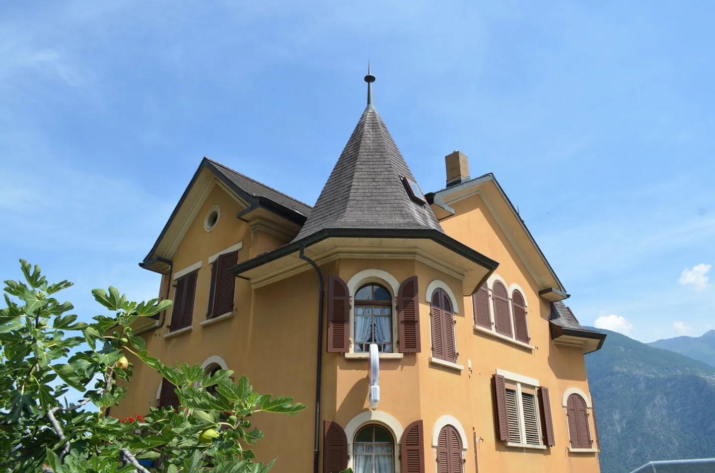 Leytron, edificio storico "Le Relais d'Ovronnaz" - Foto 13 di 13