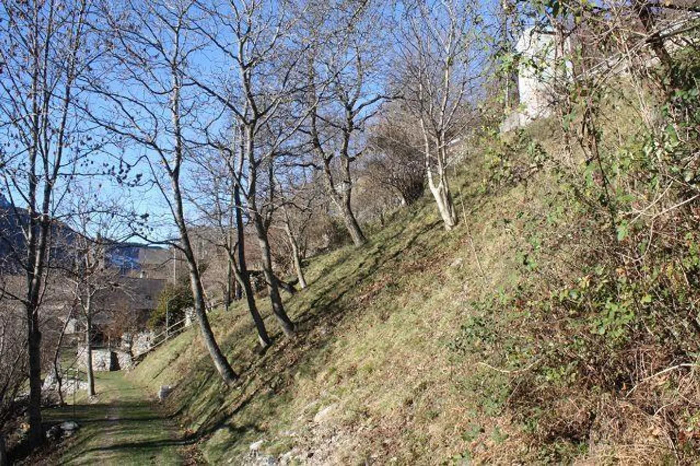 Deux terrains à bâtir de 1886 m2 - Photo 5 sur 9