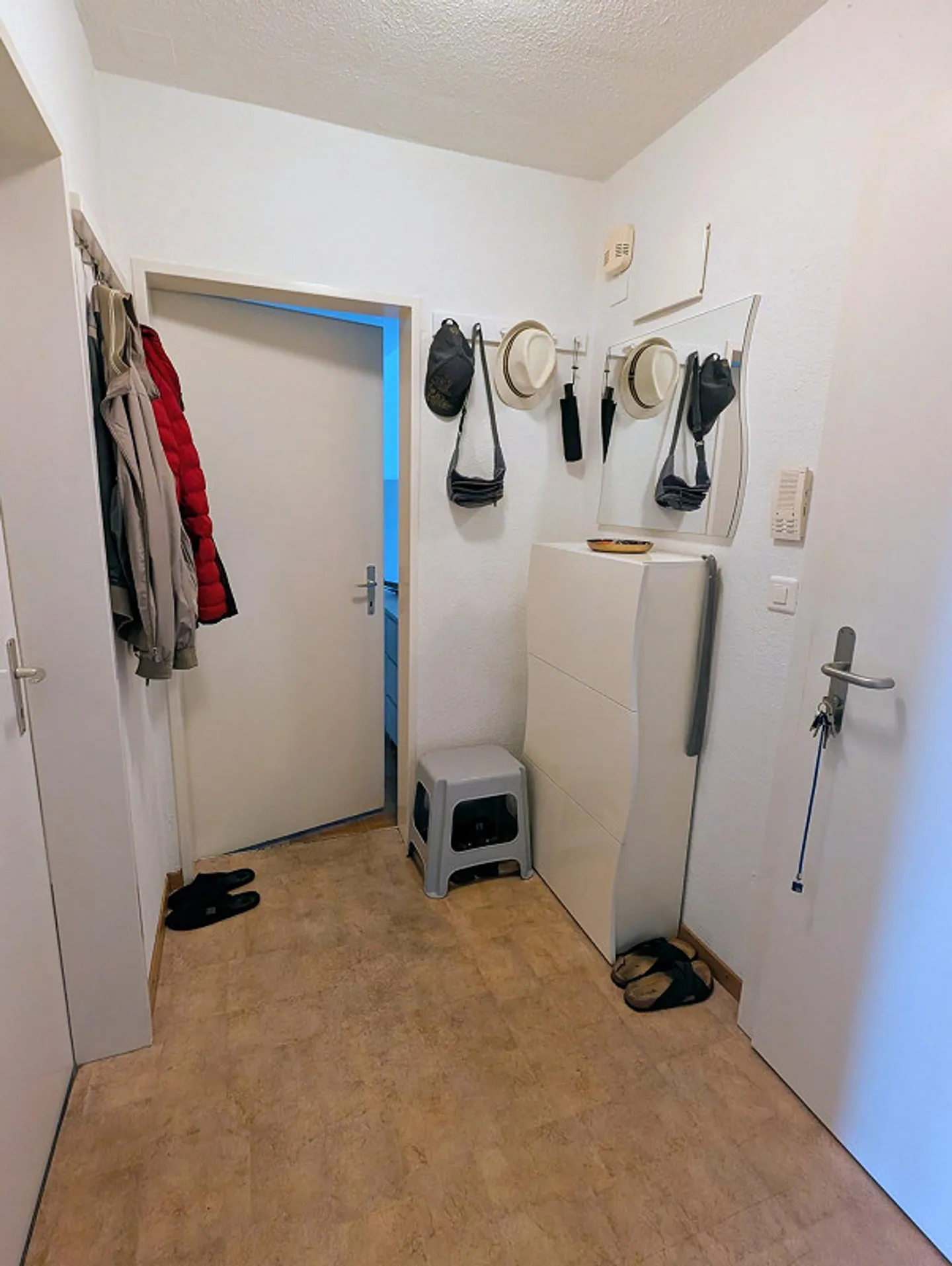 Appartamento di 2,5 stanze ad Altstetten dal 01.12.2025 - Foto 15 di 15