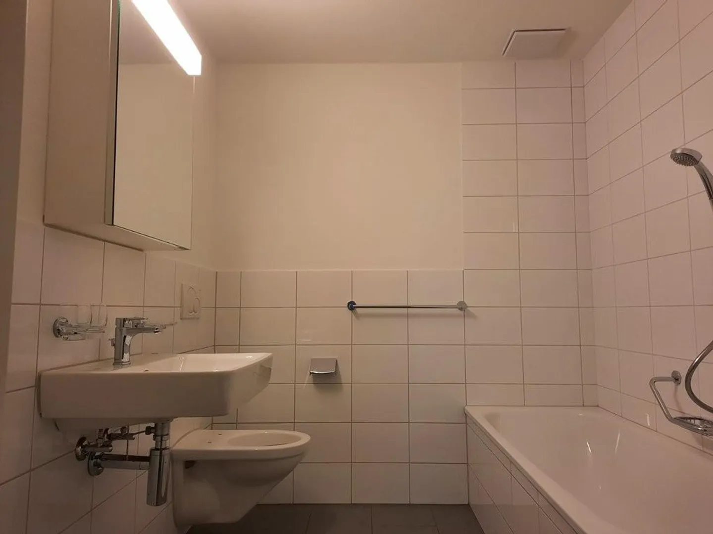 Apartment in Frick wanted? - Photo 3 of 7