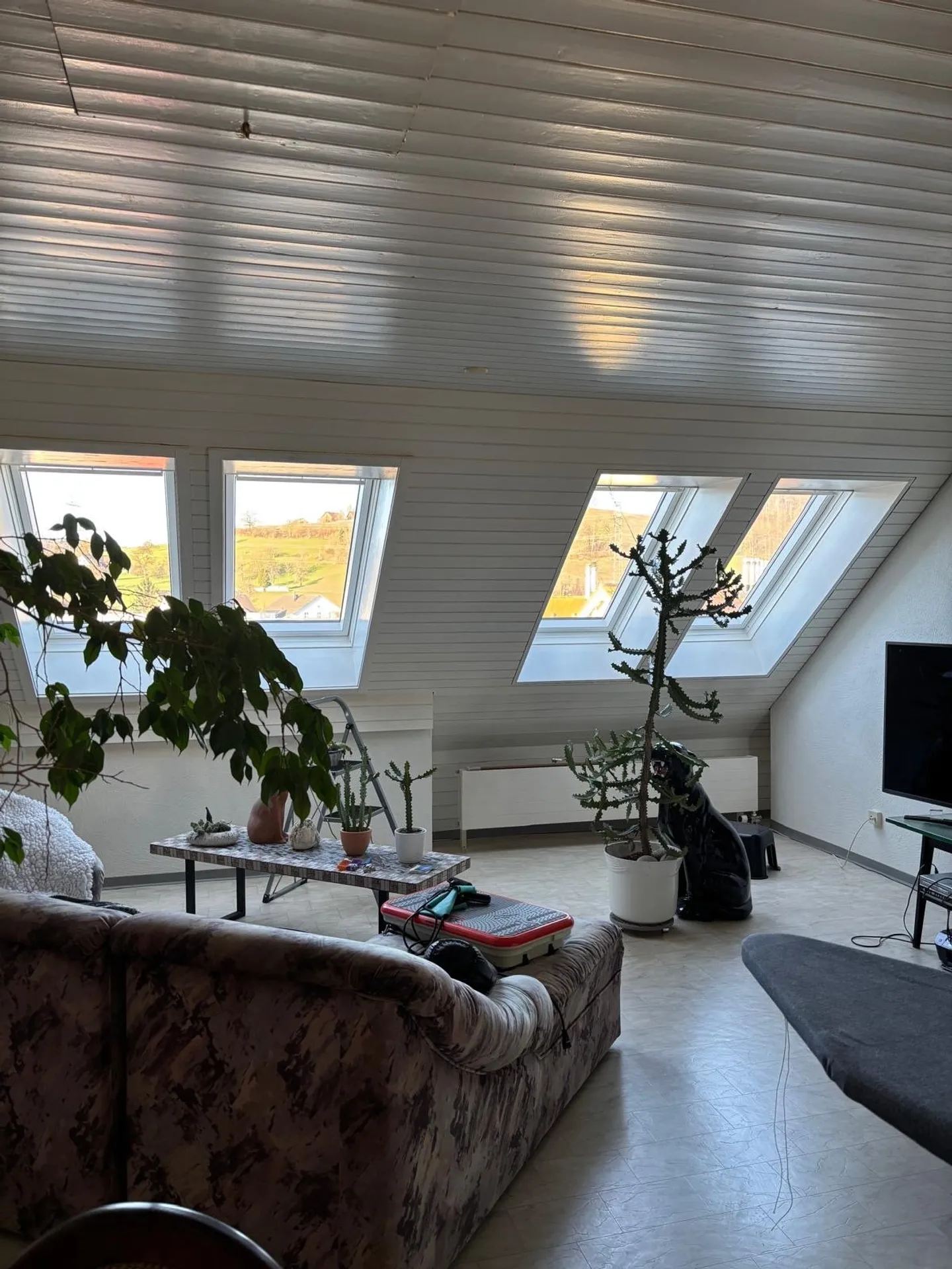 Nel cuore di Birmensdorf - Foto 11 di 16