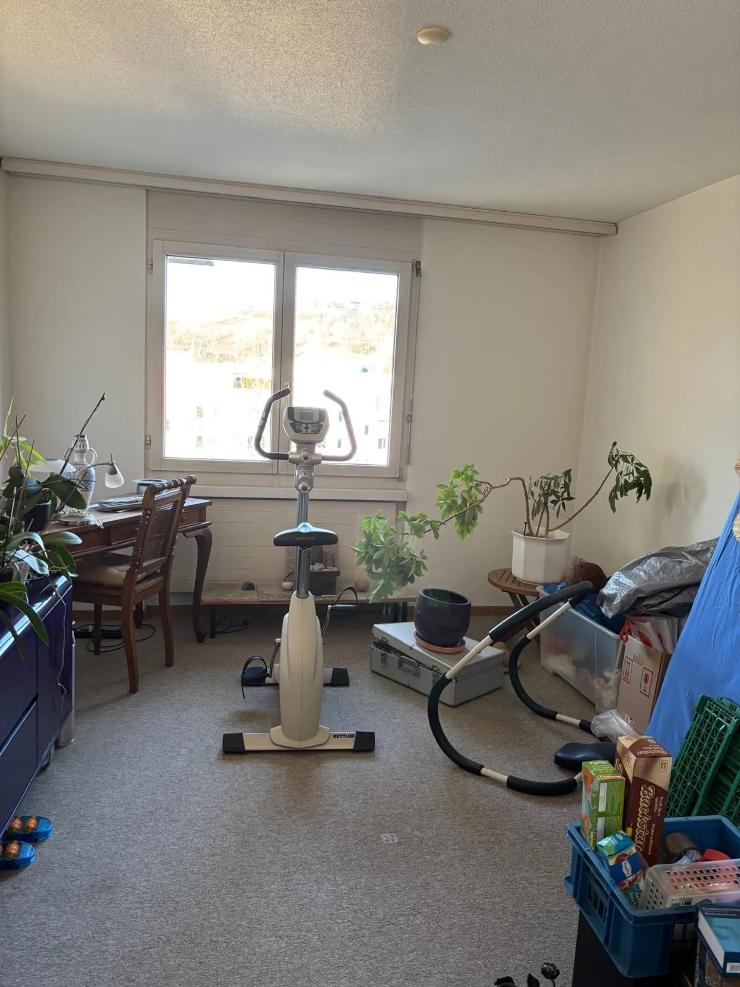 Nel cuore di Birmensdorf - Foto 8 di 16