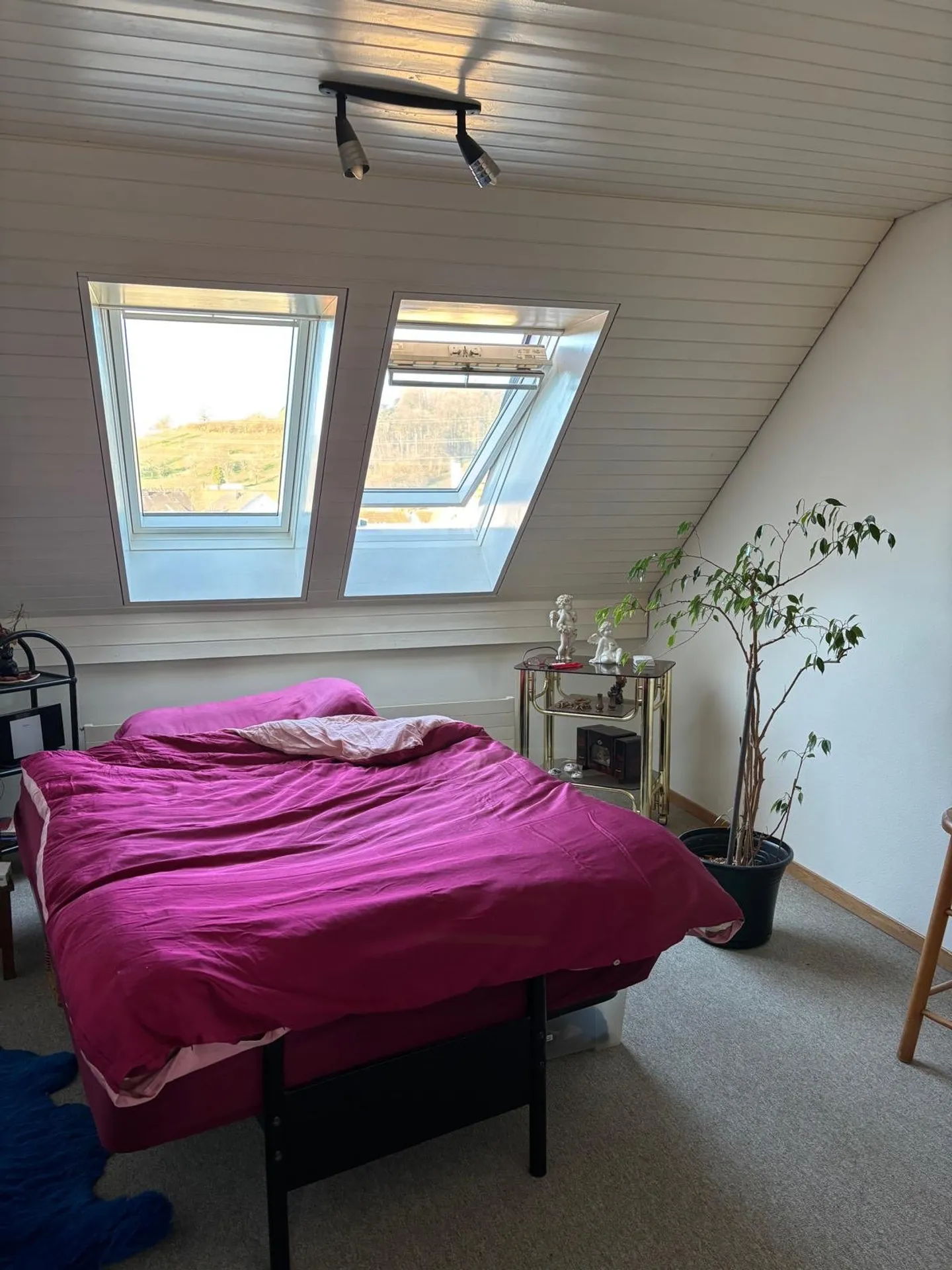 Nel cuore di Birmensdorf - Foto 12 di 16