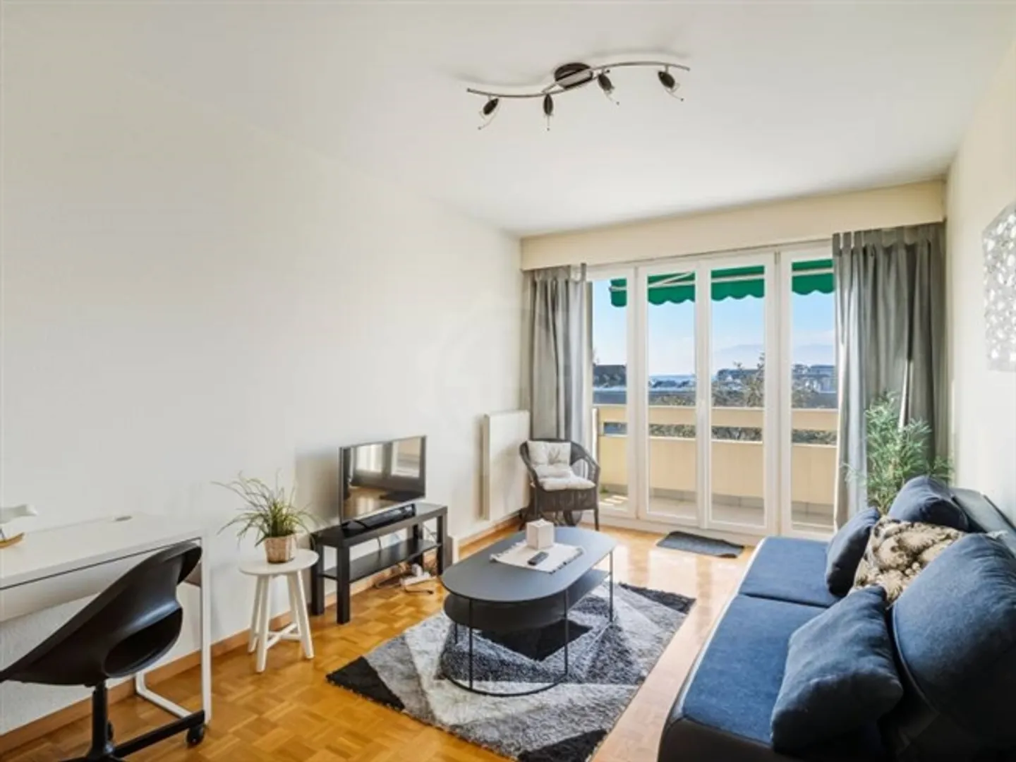 Beautiful Apartment - Geneva - Photo 3 of 8