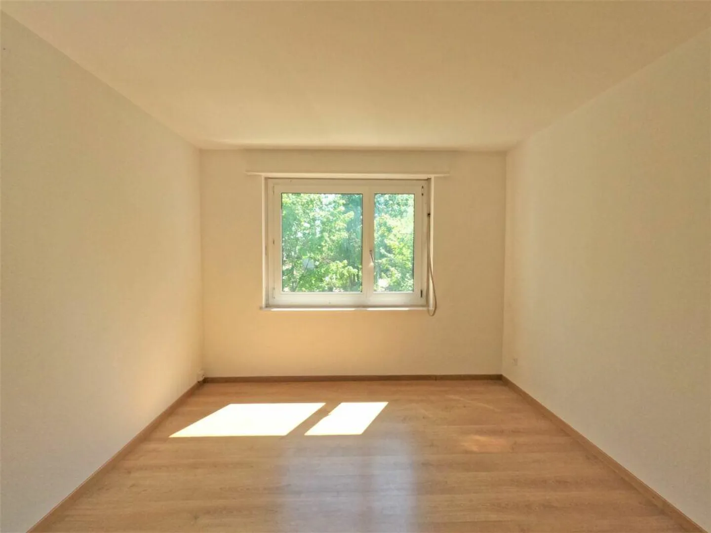 #amoureuxdeschaffhouse - appartement merveilleux avec nouvelle cuisine, nouveau... - Photo 5 sur 10