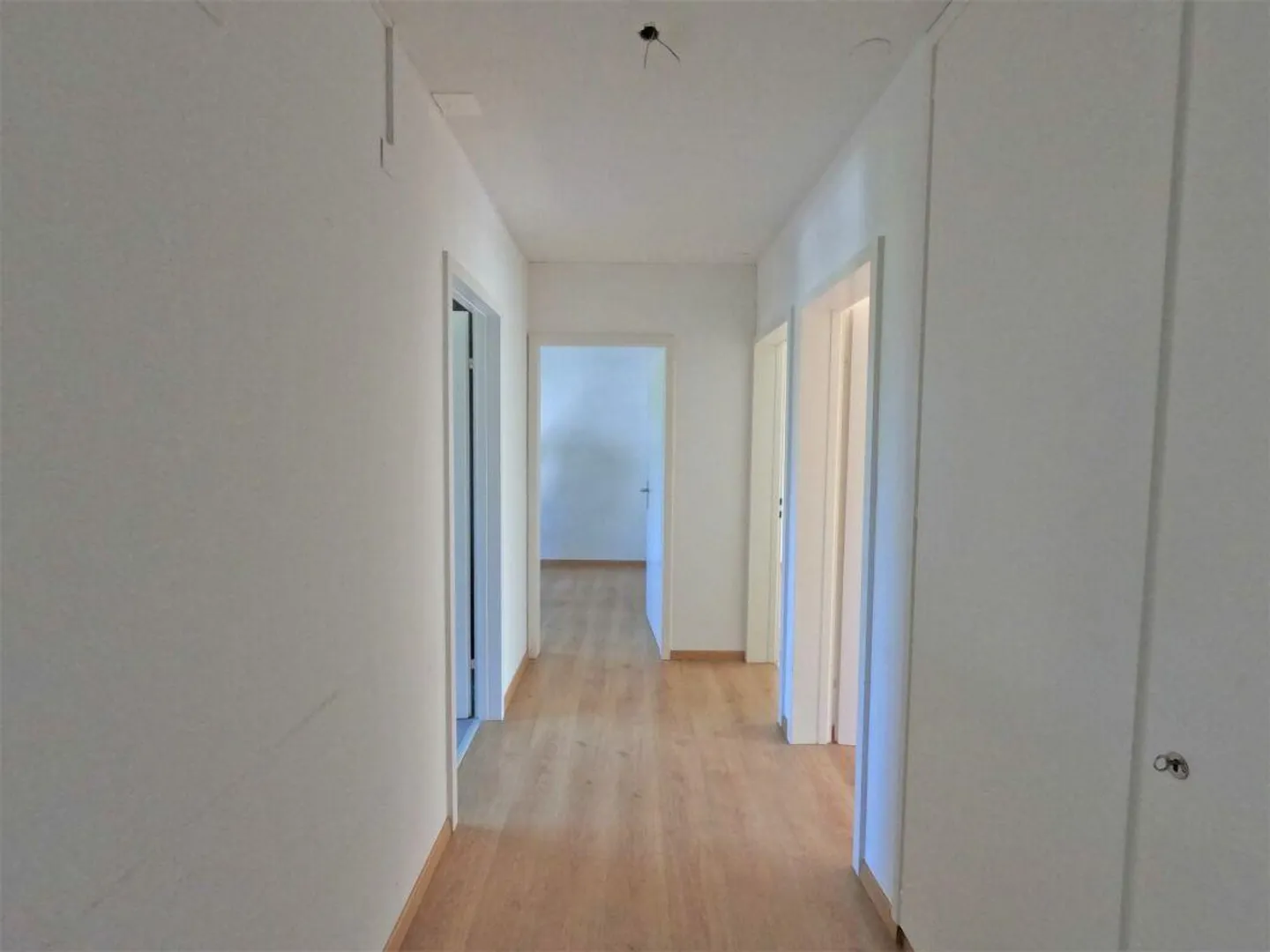 #amoureuxdeschaffhouse - appartement merveilleux avec nouvelle cuisine, nouveau... - Photo 8 sur 10