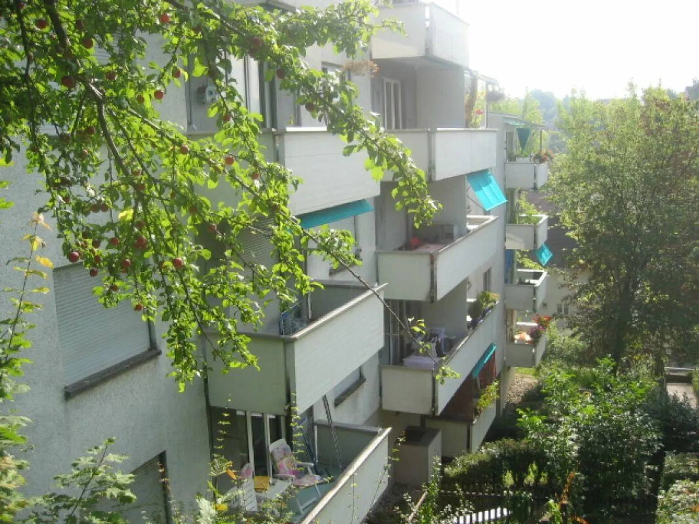 #amoureuxdeschaffhouse - appartement merveilleux avec nouvelle cuisine, nouveau... - Photo 10 sur 10
