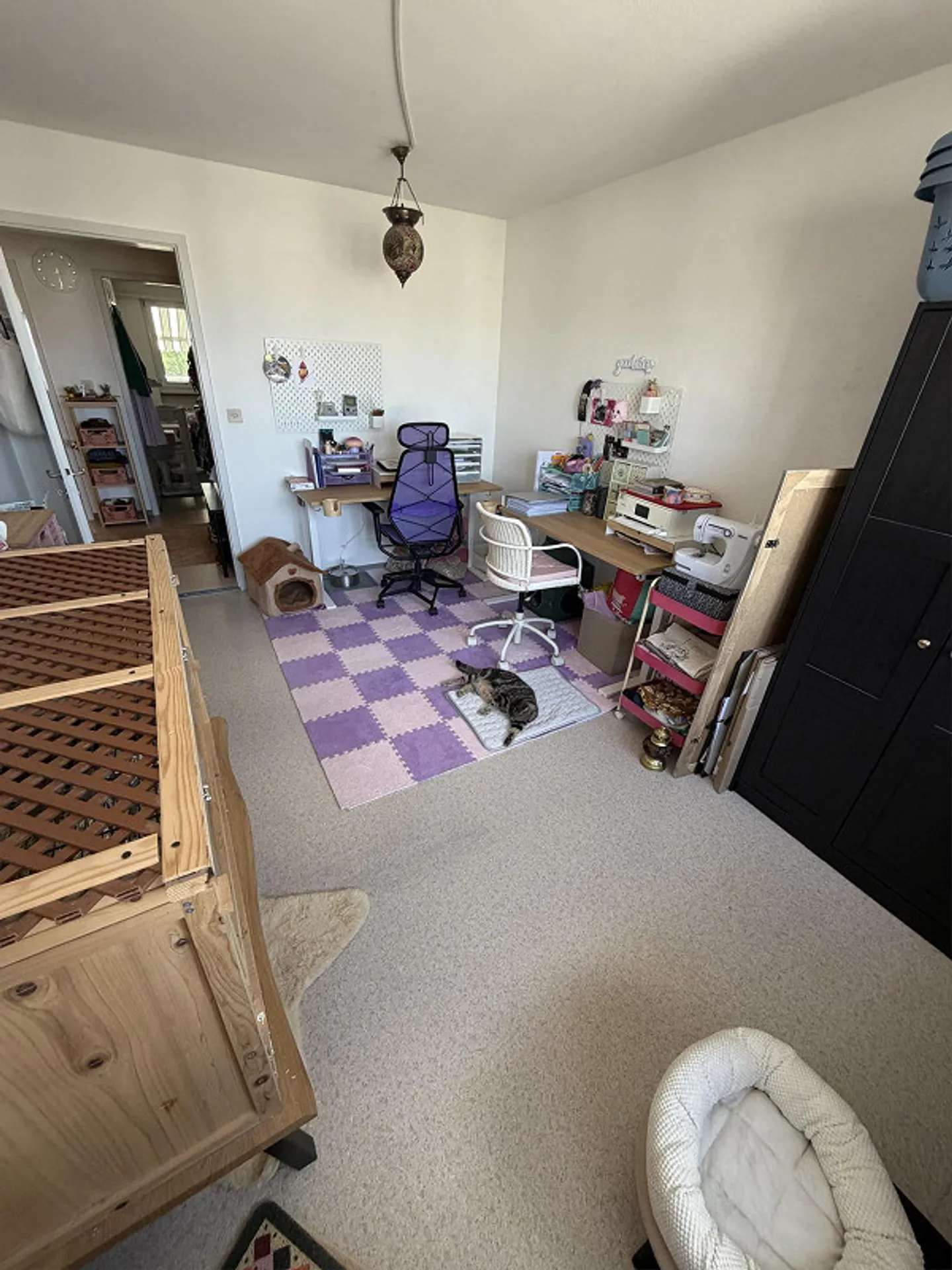 3 Room Apartment - Photo 6 of 19
