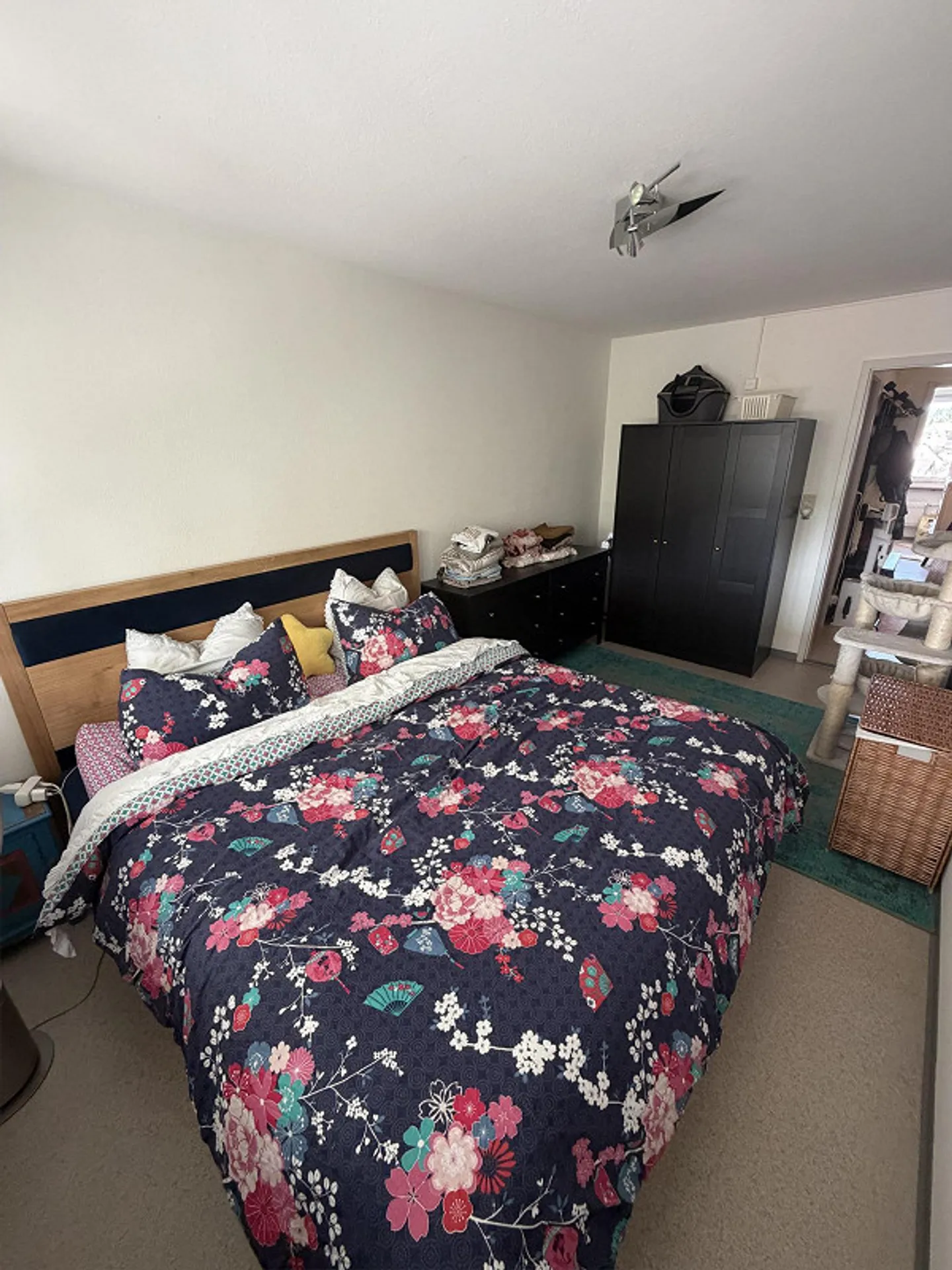 3 Room Apartment - Photo 10 of 19