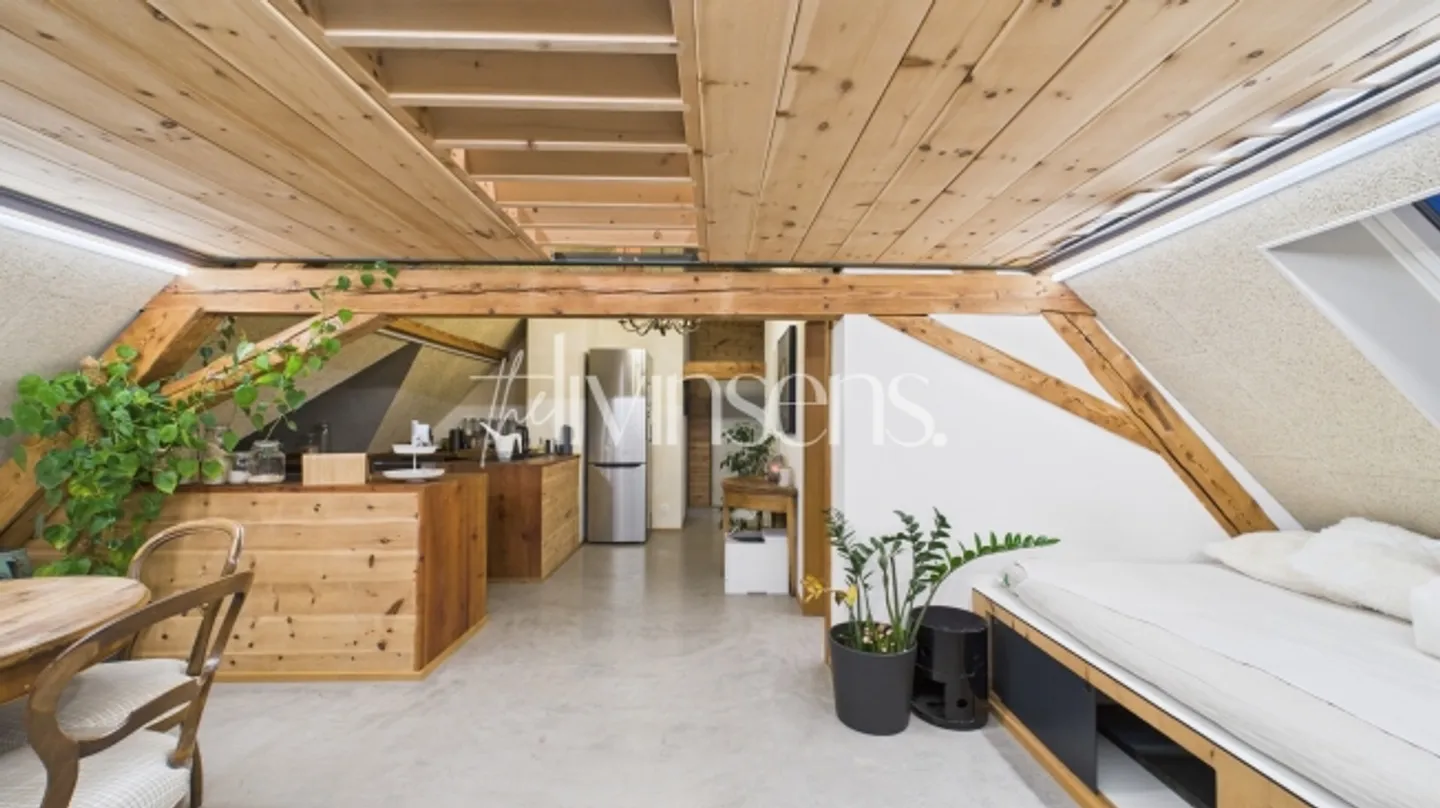 2.5 Room Loft Apartment Above the Rooftops of Kreuzlingen - Photo 7 of 14