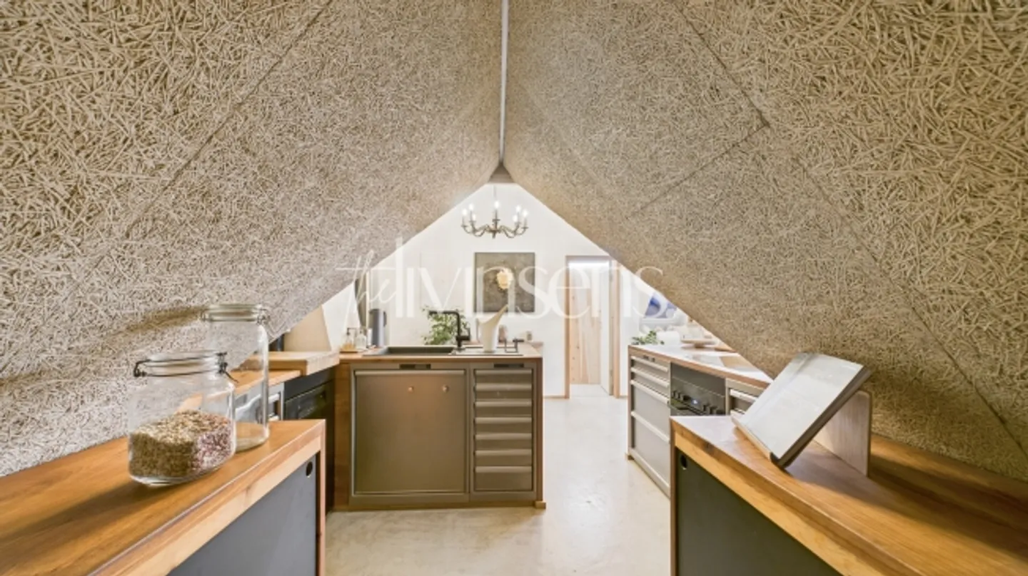 2.5 Room Loft Apartment Above the Rooftops of Kreuzlingen - Photo 3 of 14