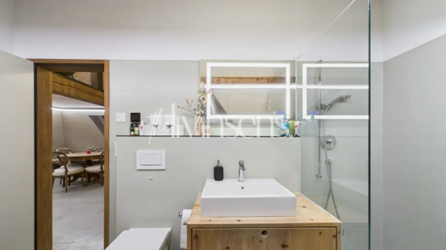 2.5 Room Loft Apartment Above the Rooftops of Kreuzlingen - Photo 11 of 14