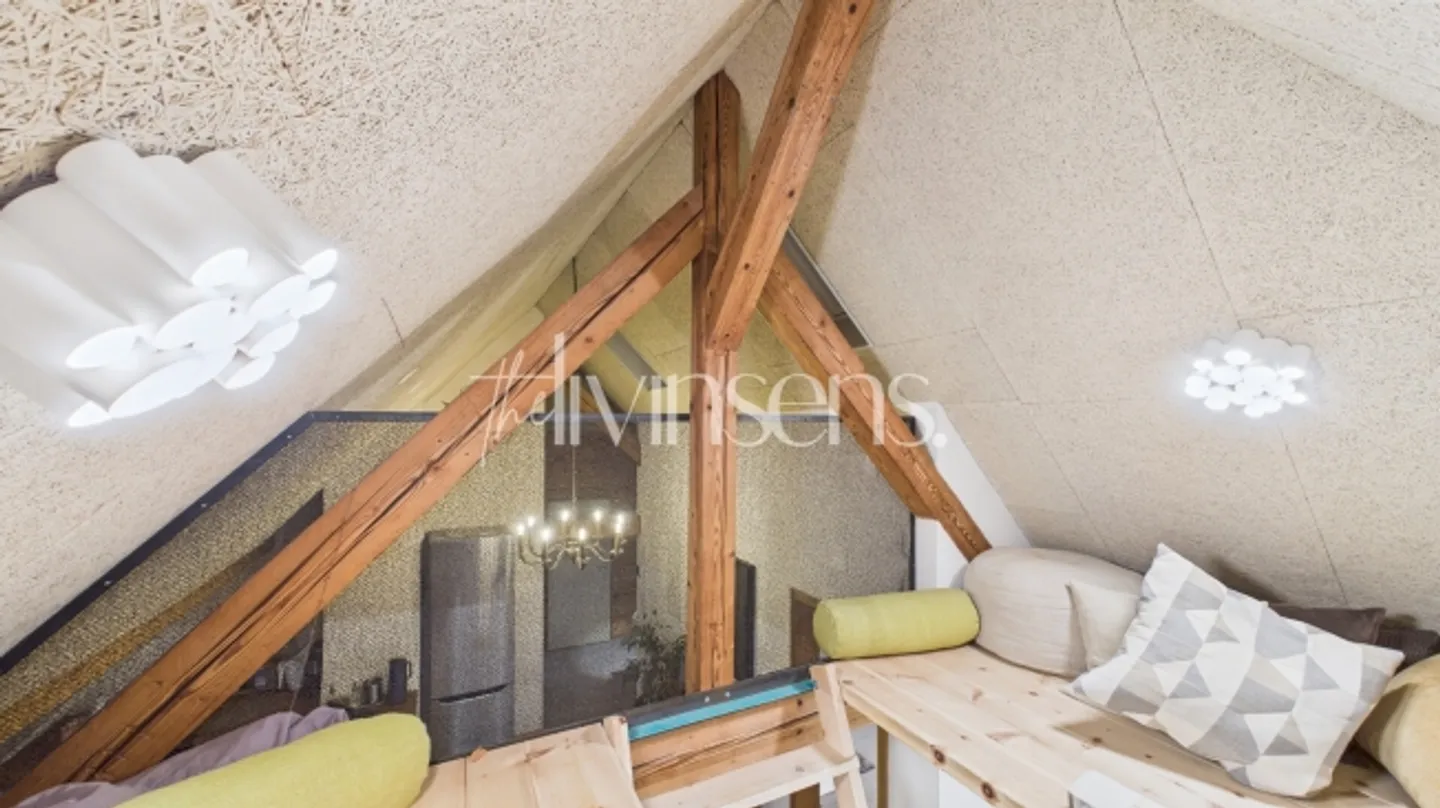 2.5 Room Loft Apartment Above the Rooftops of Kreuzlingen - Photo 12 of 14