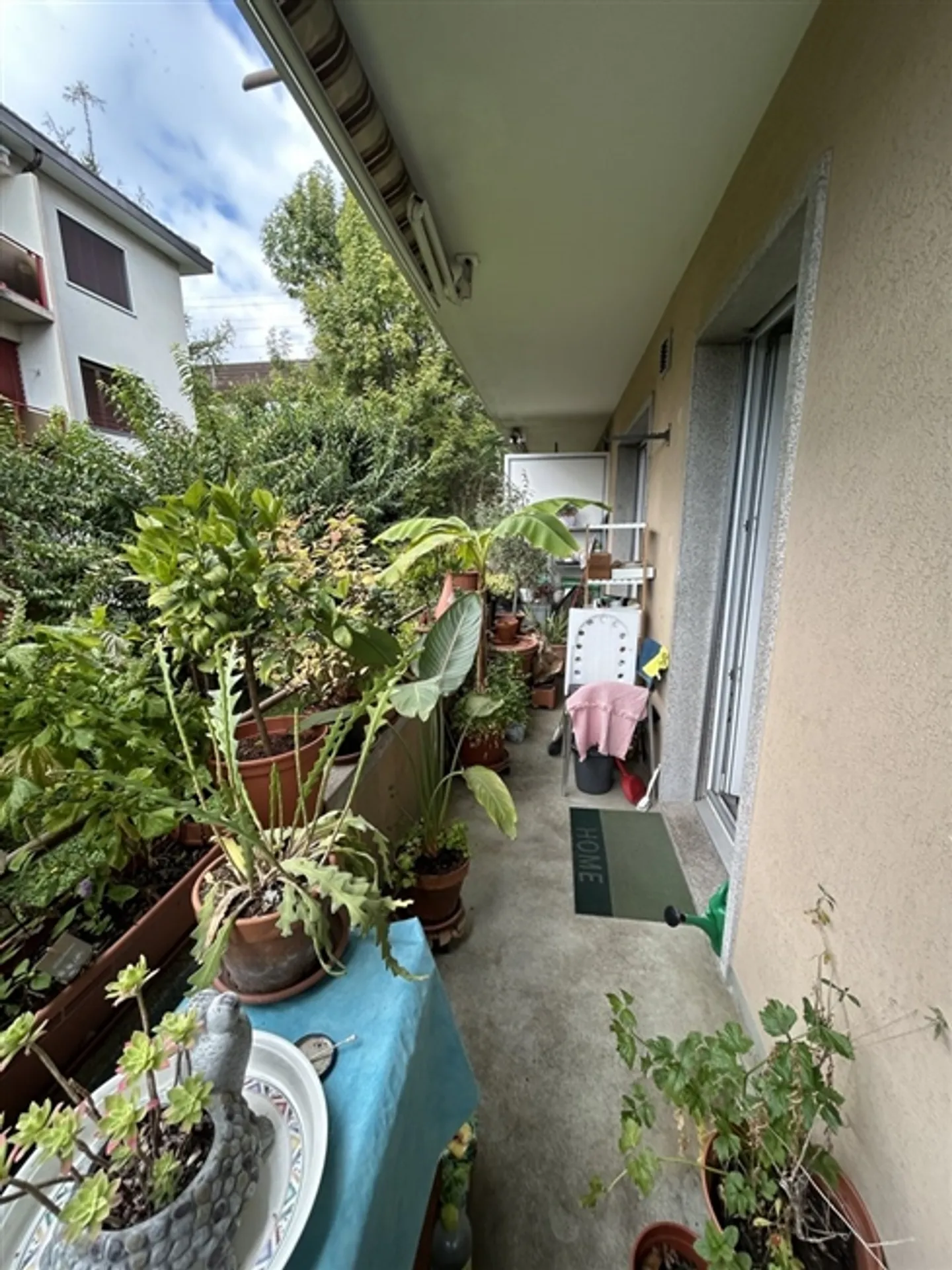 Attrapez 2,5 pièces - Photo 7 sur 7